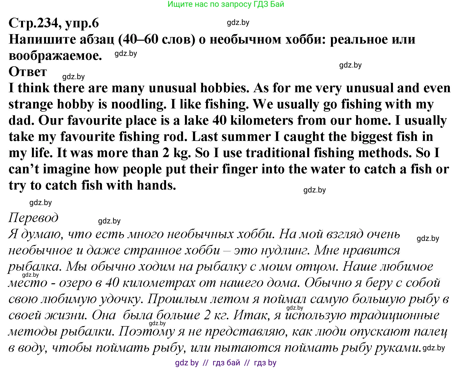 Английский язык (english), 6 класс Учебник, авторы: Юхнель Наталья Валентиновна, Наумова Елена Георгиевна, Малиновская Елена Александровна, издательство Адукацыя i выхаванне, Минск, 2021, страница 234, номер 6, Решение