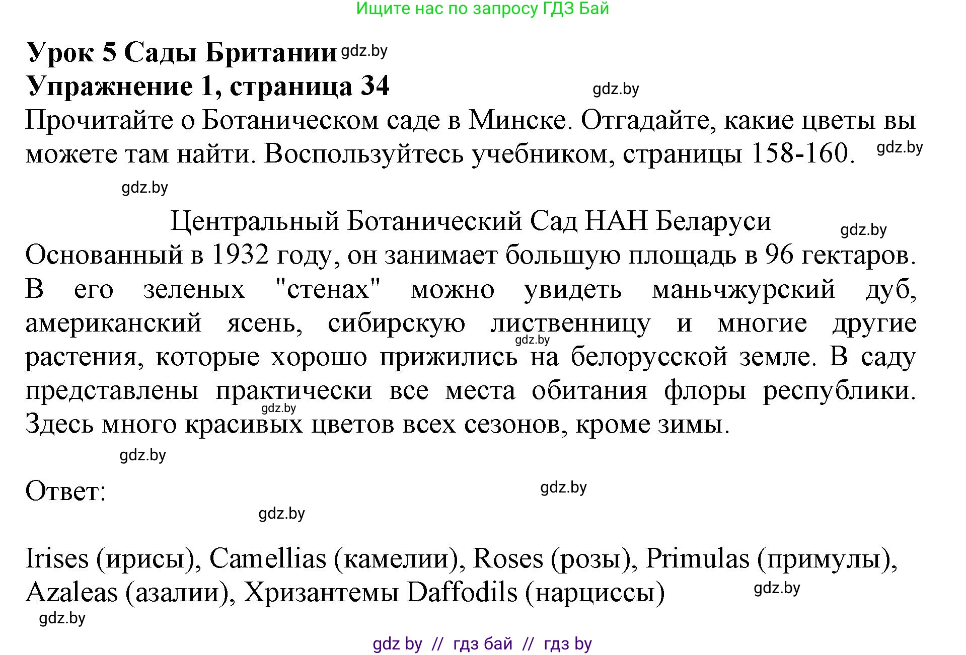 Английский язык (english), 8 класс рабочая тетрадь (activity book), авторы: Лапицкая Людмила Михайловна (Lapitskaya Ludmila), Демченко Наталья Валентиновна, Калишевич Алла Ивановна, Юхнель Наталья Валентиновна, Волков Андрей Валерьевич, Севрюкова Татьяна Юрьевна, издательство Аверсэв, Минск, 2021, салатового цвета, Часть ( Part) 2, страница 34, номер 1, Решение 1