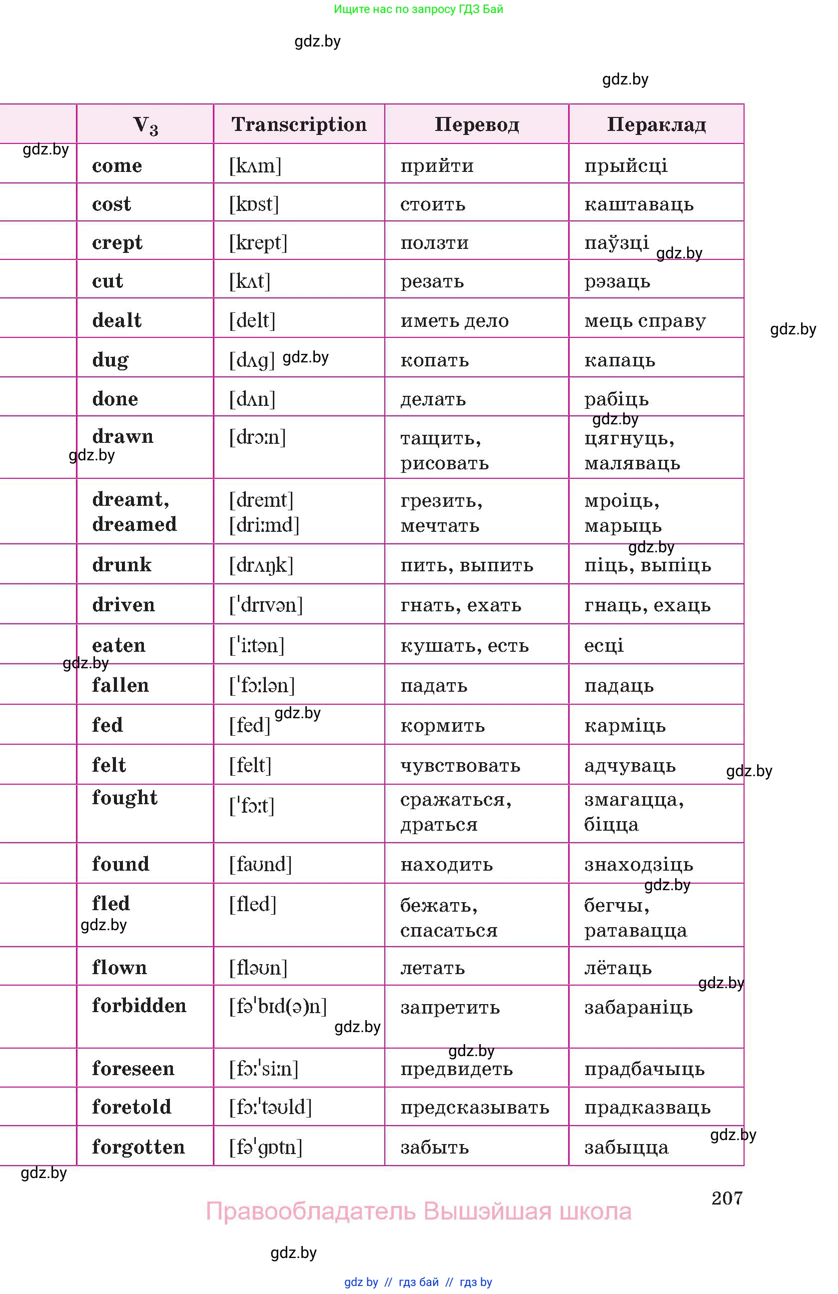 Английский язык (english), 10 класс Учебник (Student's book), авторы: Демченко Наталья Валентиновна, Юхнель Наталья Валентиновна, Севрюкова Татьяна Юрьевна, Бушуева Эдите Владиславовна, Лапицкая Людмила Михайловна (Lapitskaya Ludmila), издательство Вышэйшая школа, Минск, 2021, голубого цвета, страница 207