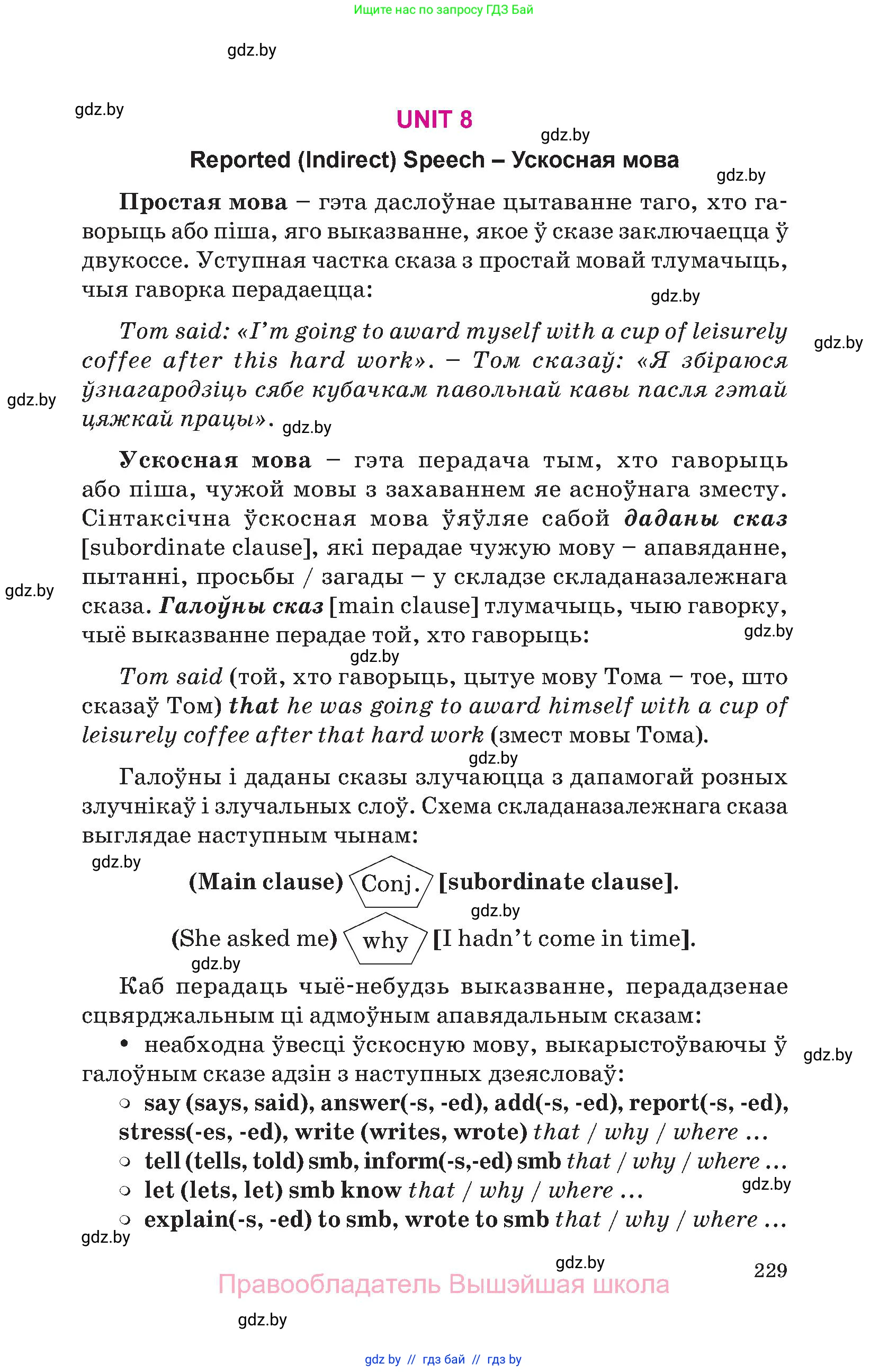 Английский язык (english), 10 класс Учебник (Student's book), авторы: Демченко Наталья Валентиновна, Юхнель Наталья Валентиновна, Севрюкова Татьяна Юрьевна, Бушуева Эдите Владиславовна, Лапицкая Людмила Михайловна (Lapitskaya Ludmila), издательство Вышэйшая школа, Минск, 2021, голубого цвета, страница 229