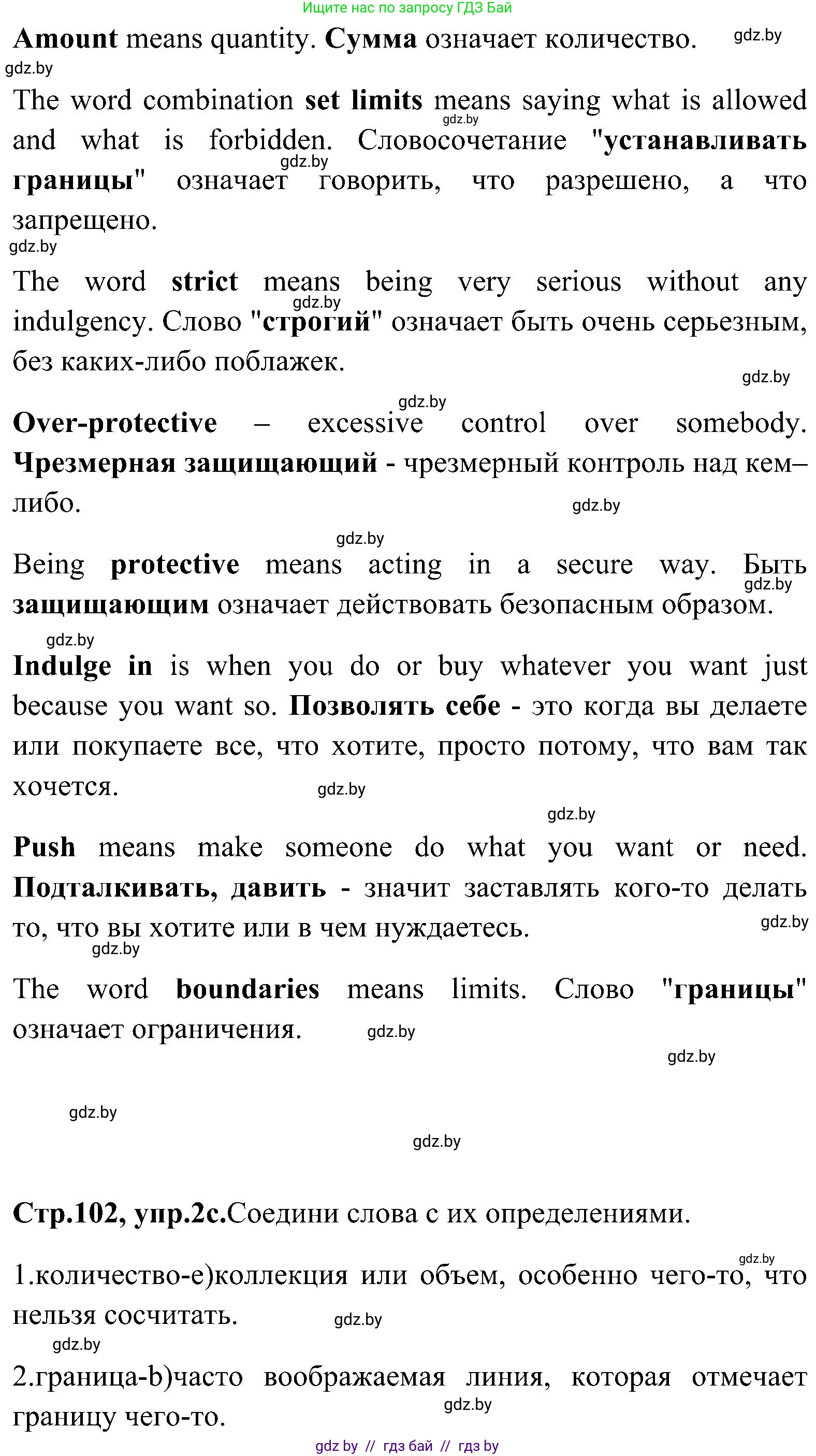 Английский язык (english), 10 класс Учебник (Student's book), авторы: Демченко Наталья Валентиновна, Юхнель Наталья Валентиновна, Севрюкова Татьяна Юрьевна, Бушуева Эдите Владиславовна, Лапицкая Людмила Михайловна (Lapitskaya Ludmila), издательство Вышэйшая школа, Минск, 2021, голубого цвета, Часть ( Part) 1, страница 101, номер 2, Решение (продолжение 6)