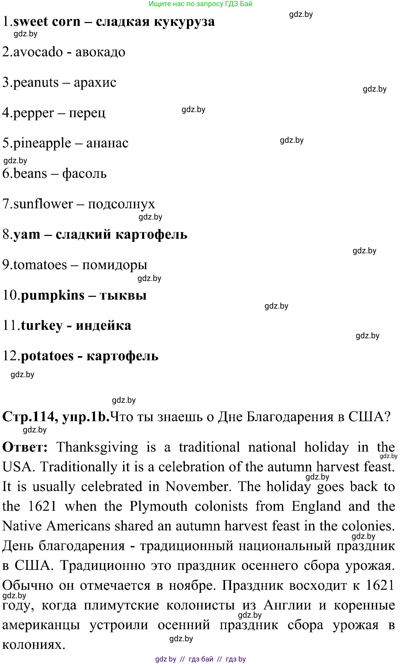 Английский язык (english), 10 класс Учебник (Student's book), авторы: Демченко Наталья Валентиновна, Юхнель Наталья Валентиновна, Севрюкова Татьяна Юрьевна, Бушуева Эдите Владиславовна, Лапицкая Людмила Михайловна (Lapitskaya Ludmila), издательство Вышэйшая школа, Минск, 2021, голубого цвета, Часть ( Part) 1, страница 114, номер 1, Решение (продолжение 2)