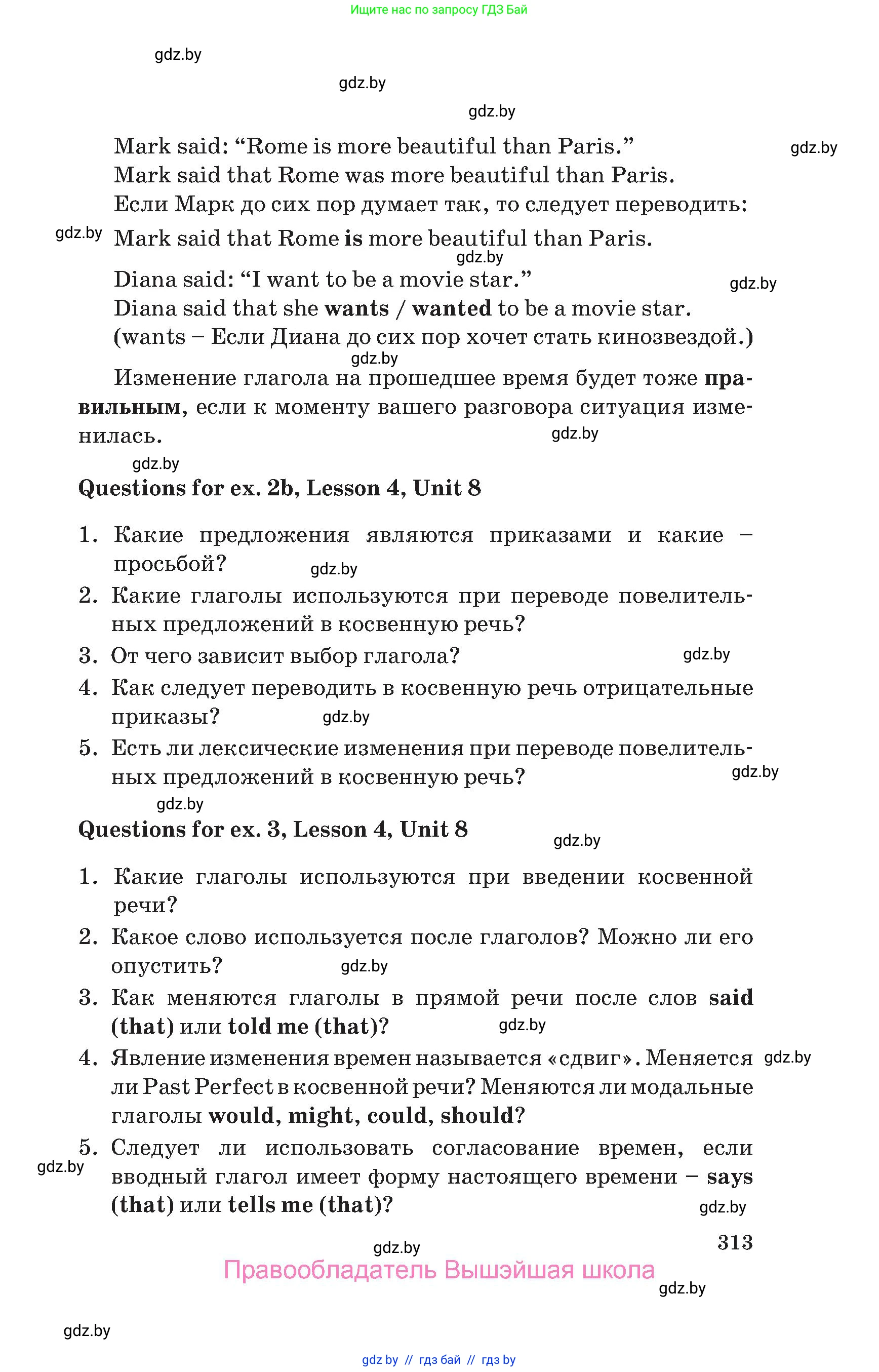 Английский язык (english), 10 класс Учебник (Student's book), авторы: Юхнель Наталья Валентиновна, Наумова Елена Георгиевна, Демченко Наталья Валентиновна, издательство Вышэйшая школа, Минск, 2019, страница 313