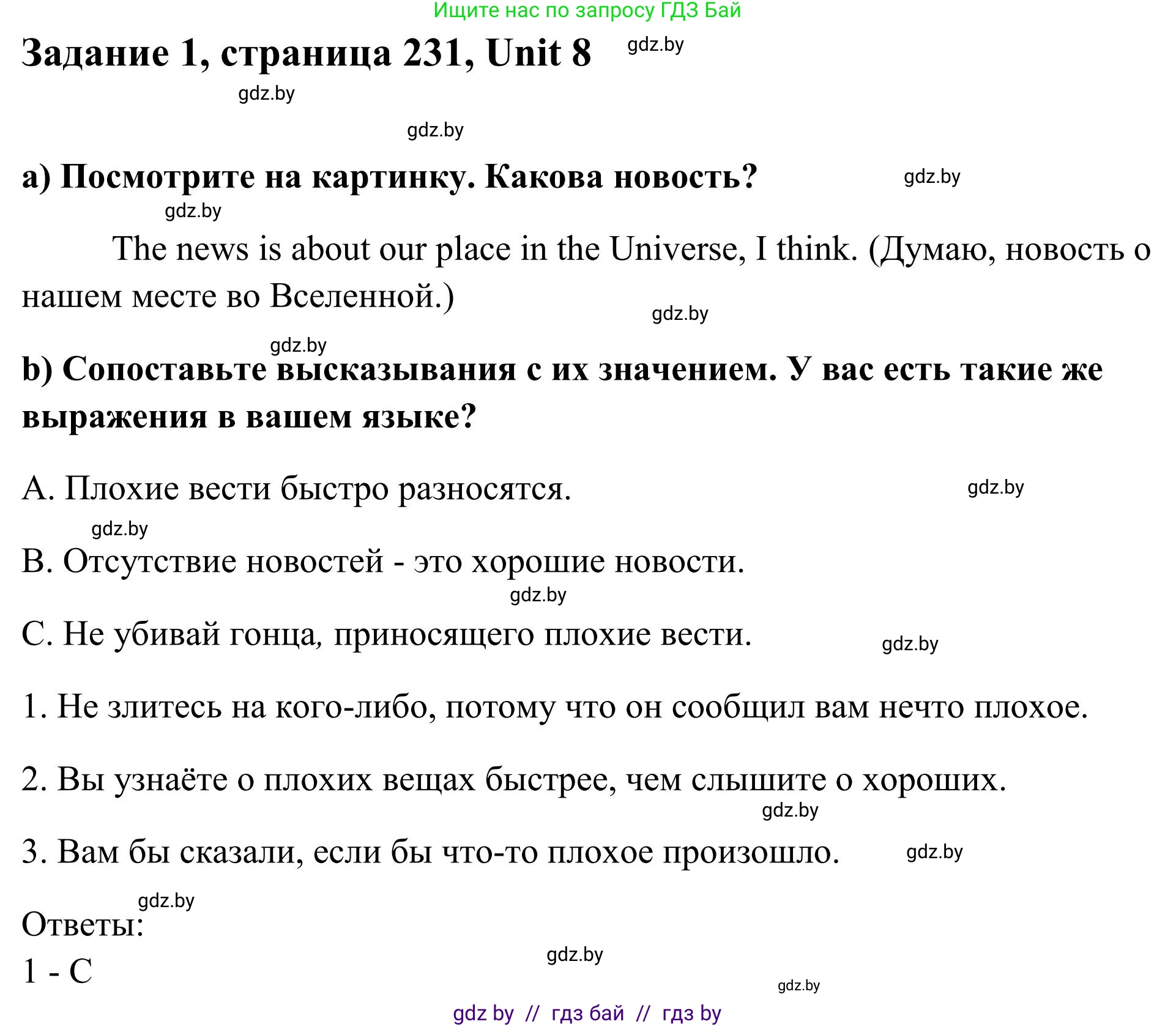 Английский язык (english), 10 класс Учебник (Student's book), авторы: Юхнель Наталья Валентиновна, Наумова Елена Георгиевна, Демченко Наталья Валентиновна, издательство Вышэйшая школа, Минск, 2019, страница 231, номер 1, Решение
