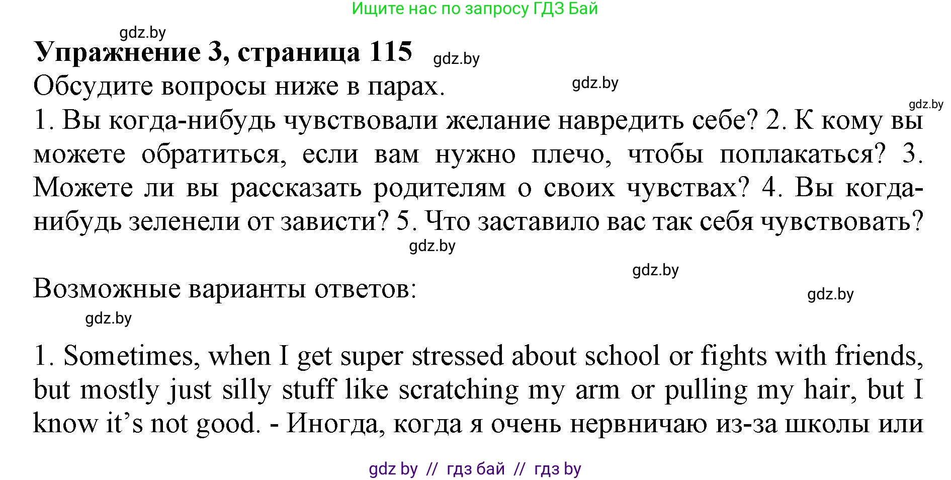Английский язык (english), 10 класс Учебник (Student's book), авторы: Юхнель Наталья Валентиновна, Наумова Елена Георгиевна, Демченко Наталья Валентиновна, издательство Вышэйшая школа, Минск, 2019, страница 115, номер 3, Решение 2