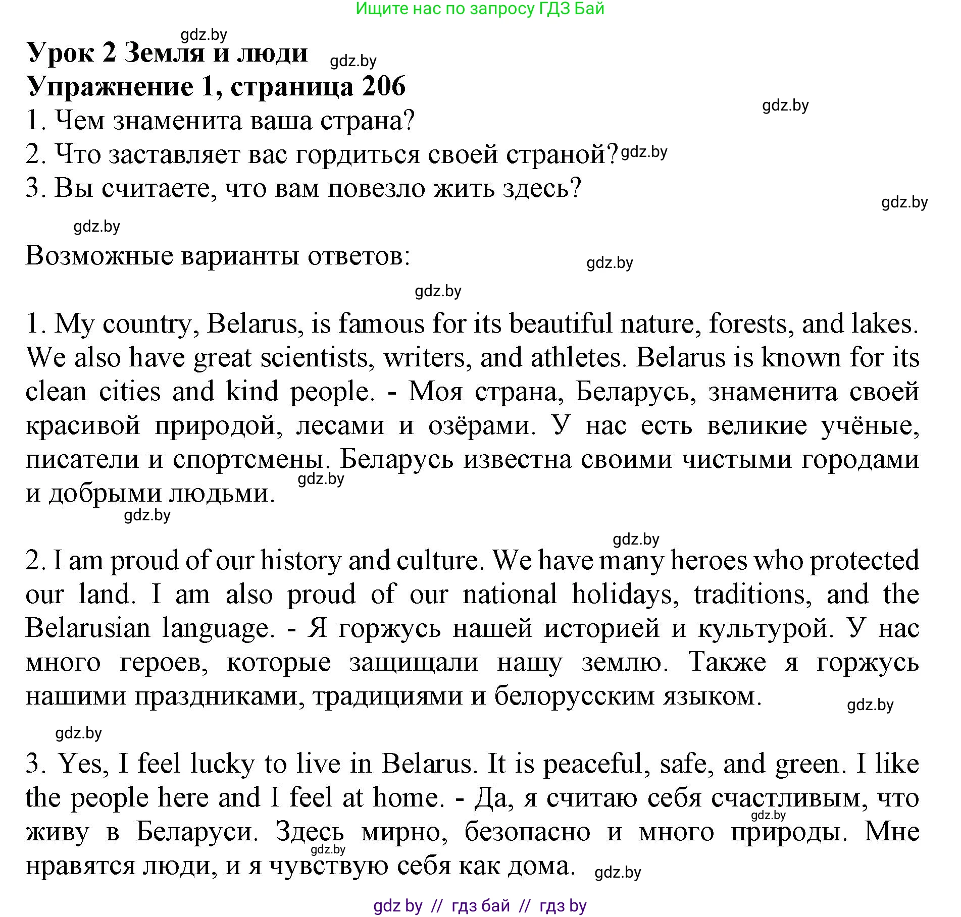 Английский язык (english), 10 класс Учебник (Student's book), авторы: Юхнель Наталья Валентиновна, Наумова Елена Георгиевна, Демченко Наталья Валентиновна, издательство Вышэйшая школа, Минск, 2019, страница 206, номер 1, Решение 2
