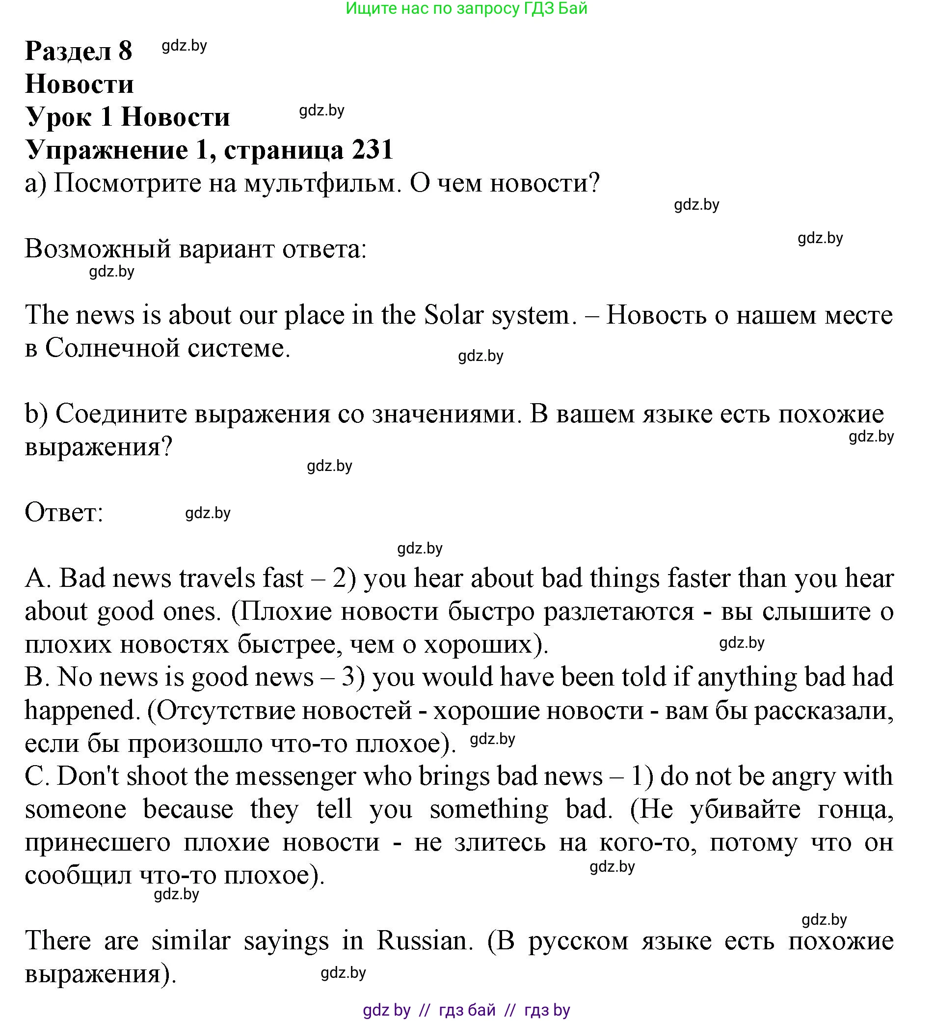 Английский язык (english), 10 класс Учебник (Student's book), авторы: Юхнель Наталья Валентиновна, Наумова Елена Георгиевна, Демченко Наталья Валентиновна, издательство Вышэйшая школа, Минск, 2019, страница 231, номер 1, Решение 2