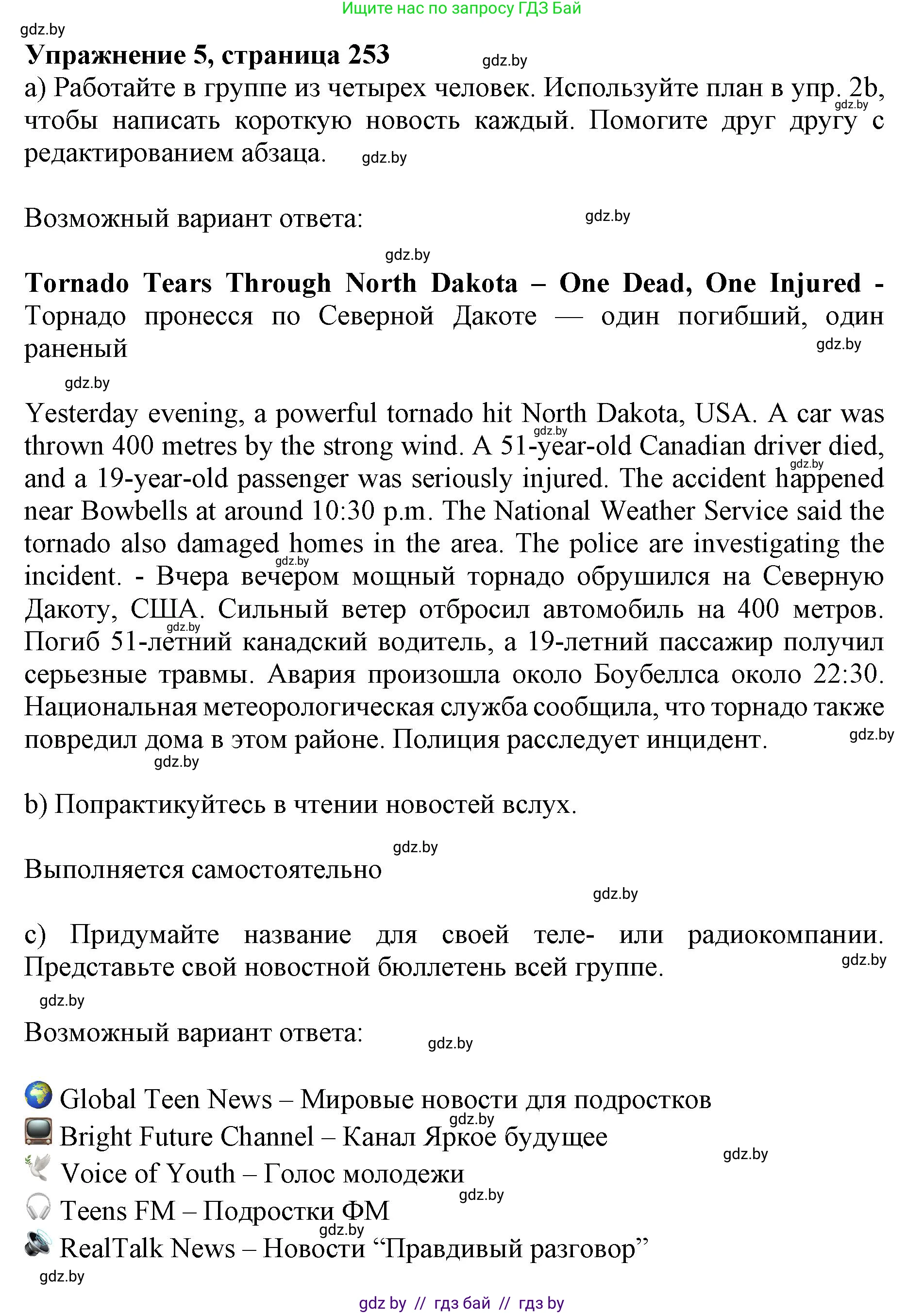 Английский язык (english), 10 класс Учебник (Student's book), авторы: Юхнель Наталья Валентиновна, Наумова Елена Георгиевна, Демченко Наталья Валентиновна, издательство Вышэйшая школа, Минск, 2019, страница 253, номер 5, Решение 2