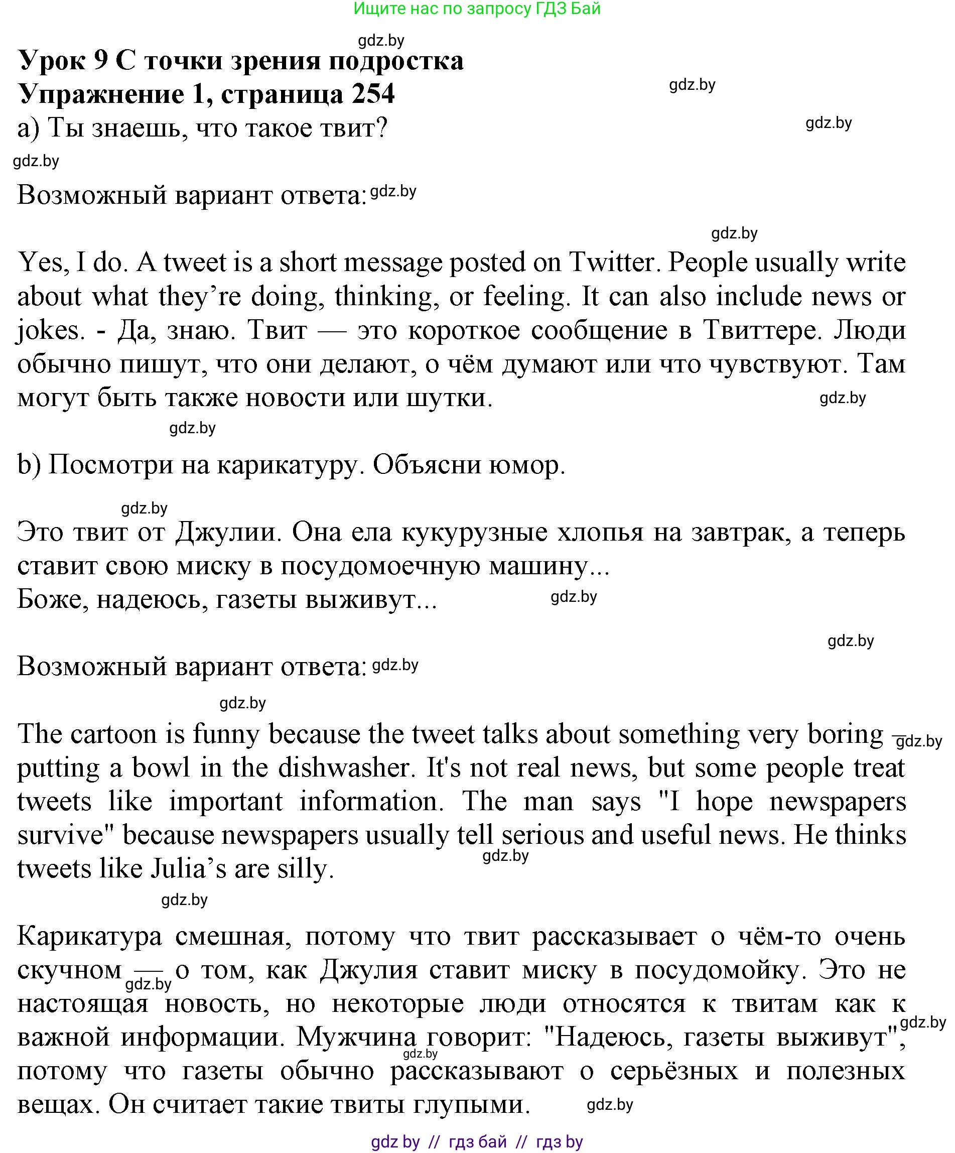 Английский язык (english), 10 класс Учебник (Student's book), авторы: Юхнель Наталья Валентиновна, Наумова Елена Георгиевна, Демченко Наталья Валентиновна, издательство Вышэйшая школа, Минск, 2019, страница 254, номер 1, Решение 2