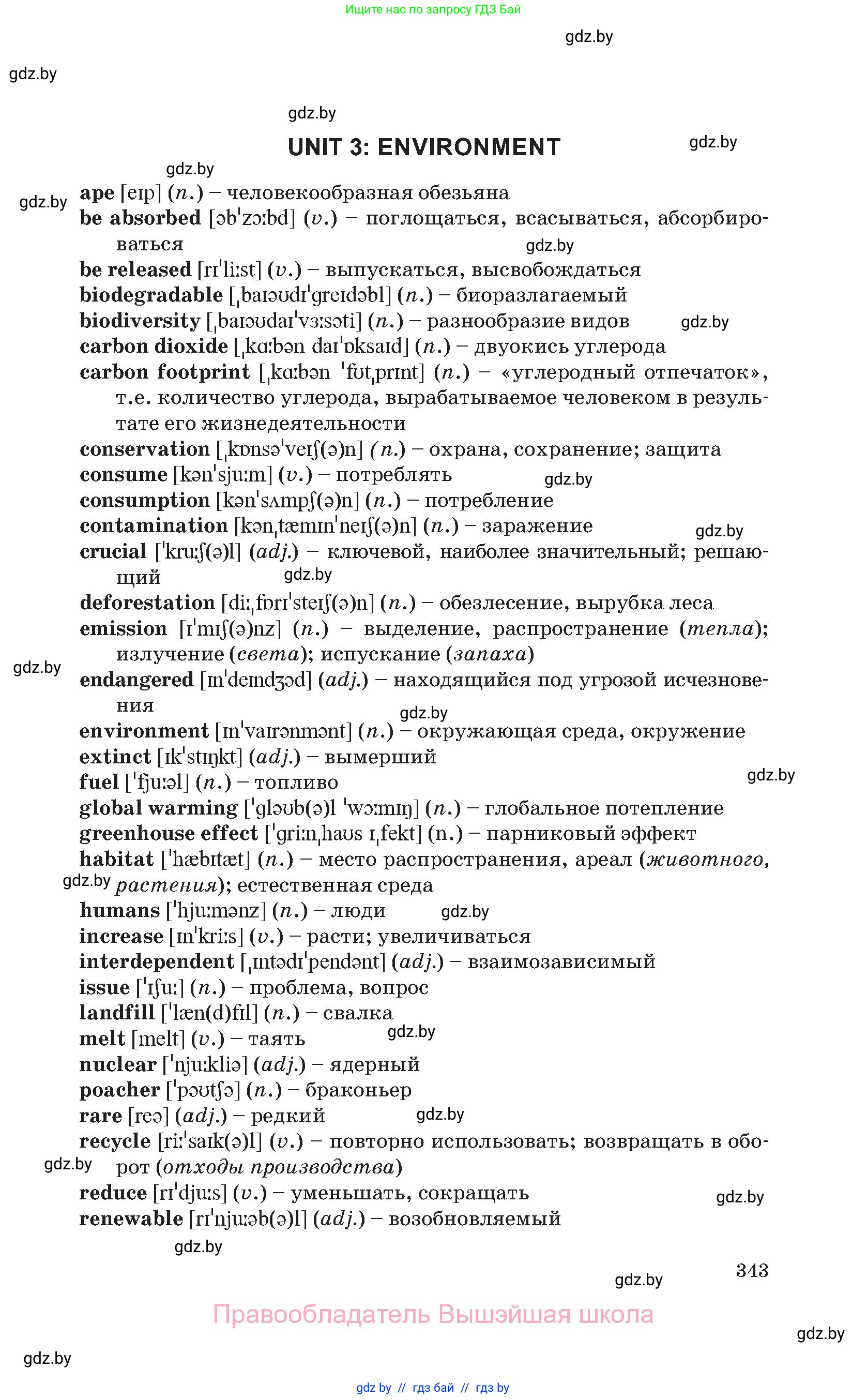 Английский язык (english), 11 класс Учебник (Student's book), авторы: Юхнель Наталья Валентиновна, Демченко Наталья Валентиновна, Романчук Вероника Романовна, Малиновская Елена Александровна, Севрюкова Татьяна Юрьевна, Бушуева Эдите Владиславовна, Наумова Елена Георгиевна, Яковчиц Т Н, издательство Вышэйшая школа, Минск, 2021, бирюзового цвета, страница 343