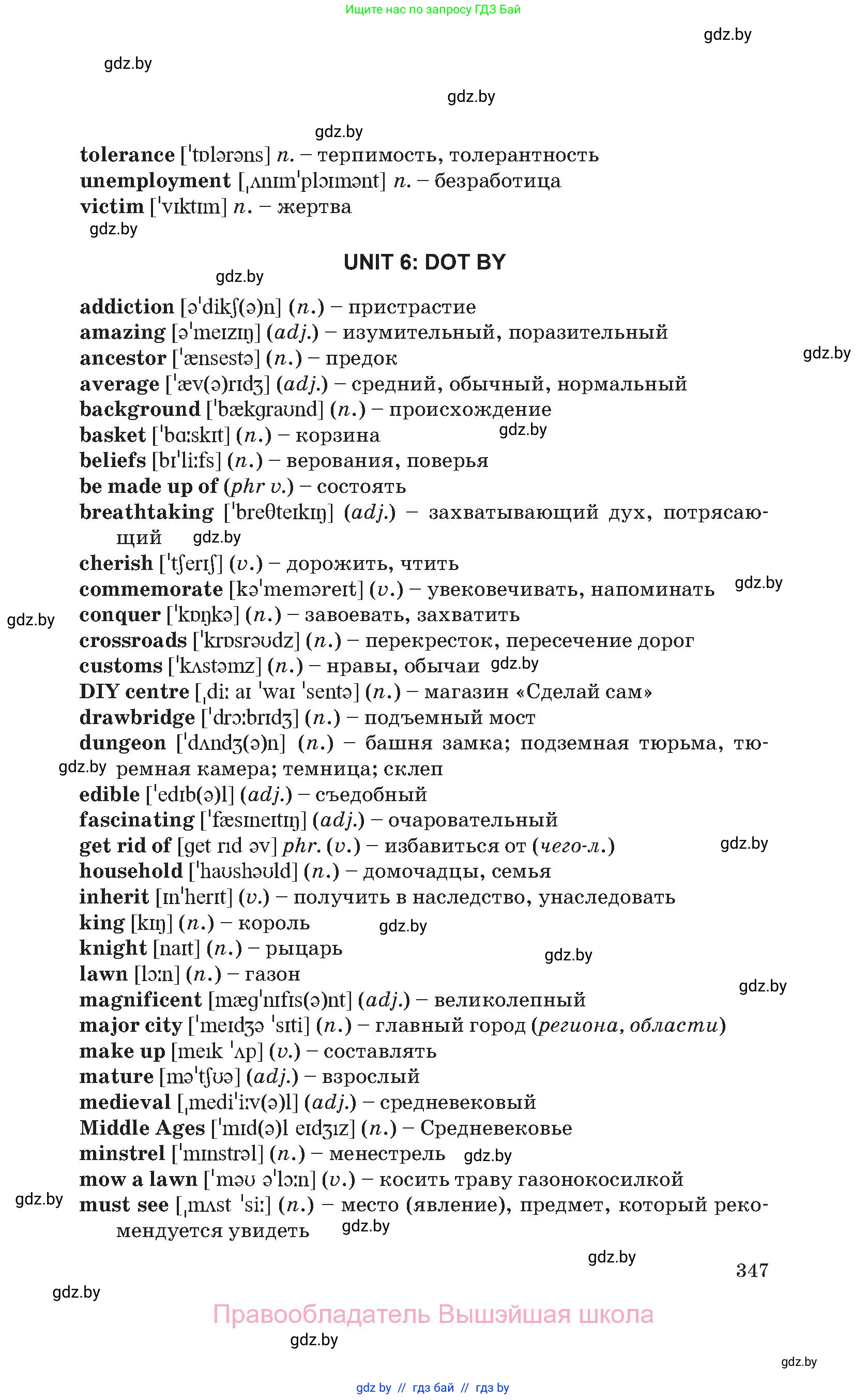 Английский язык (english), 11 класс Учебник (Student's book), авторы: Юхнель Наталья Валентиновна, Демченко Наталья Валентиновна, Романчук Вероника Романовна, Малиновская Елена Александровна, Севрюкова Татьяна Юрьевна, Бушуева Эдите Владиславовна, Наумова Елена Георгиевна, Яковчиц Т Н, издательство Вышэйшая школа, Минск, 2021, бирюзового цвета, страница 347