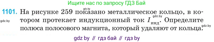 Физика, 10 класс Сборник задач, авторы: Дорофейчик Владимир Владимирович, Белая Ольга Николаевна, издательство Национальный институт образования, Минск, 2022, страница 250, номер 1101, Условие