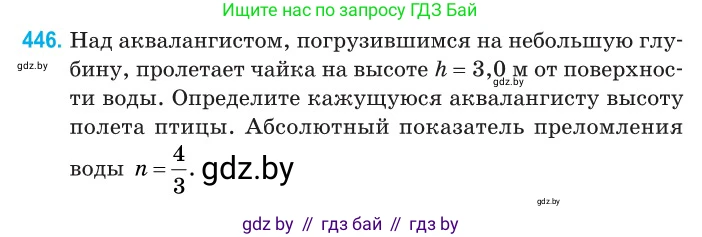 Физика, 11 класс Сборник задач, авторы: Дорофейчик Владимир Владимирович, Силенков Михаил Анатольевич, издательство Национальный институт образования, Минск, 2023, страница 136, номер 446, Условие