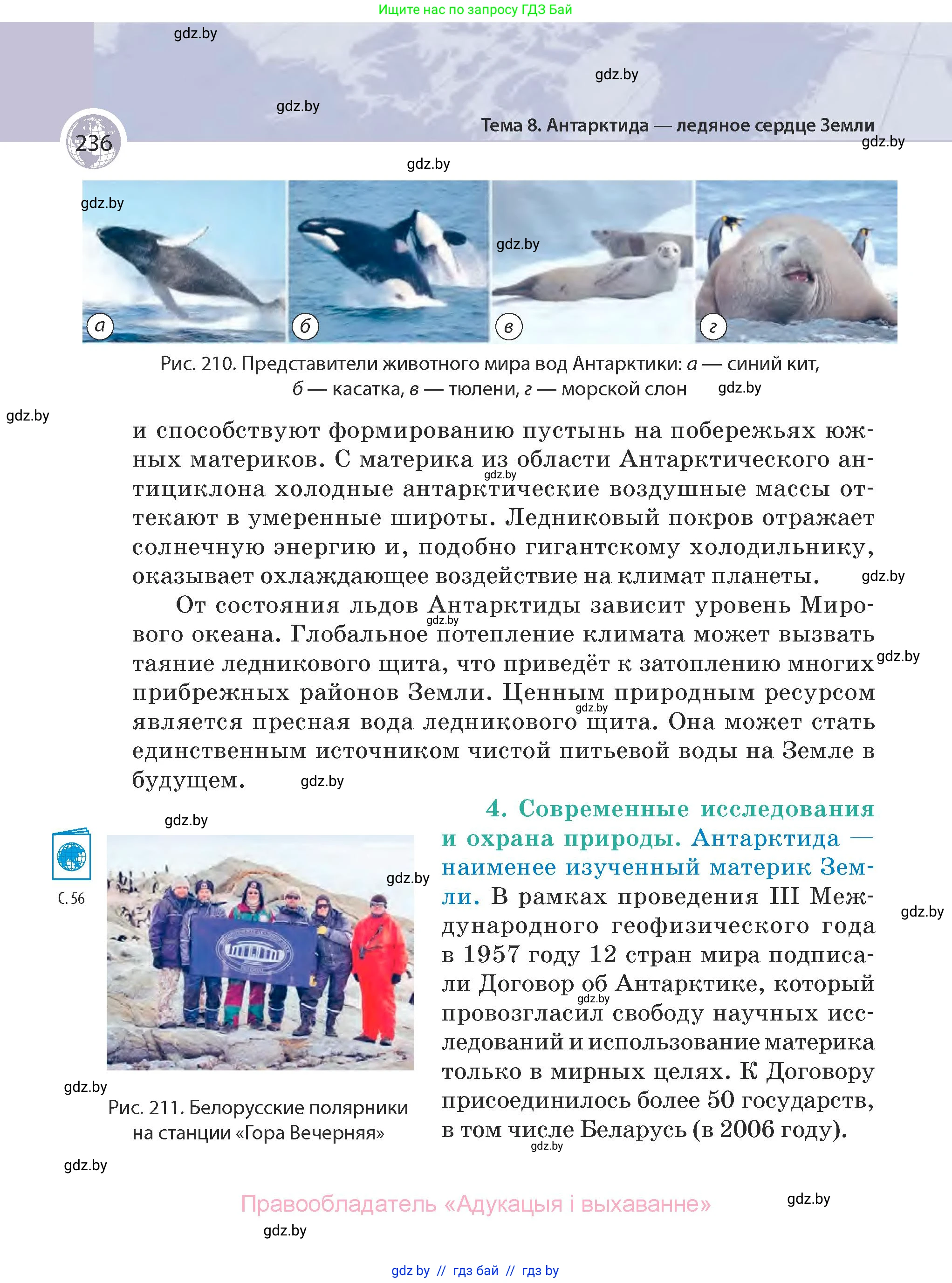 География, 7 класс Учебник, авторы: Кольмакова Елена Генадьевна, Лопух Пётр Степанович, Сарычева Ольга Владимировна, издательство Адукацыя i выхаванне, Минск, 2023, страница 236