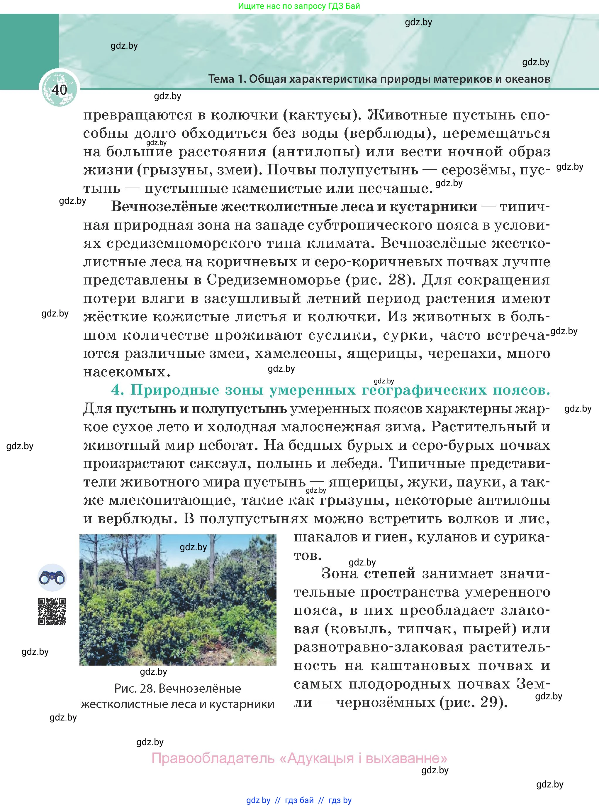 География, 7 класс Учебник, авторы: Кольмакова Елена Генадьевна, Лопух Пётр Степанович, Сарычева Ольга Владимировна, издательство Адукацыя i выхаванне, Минск, 2023, страница 40