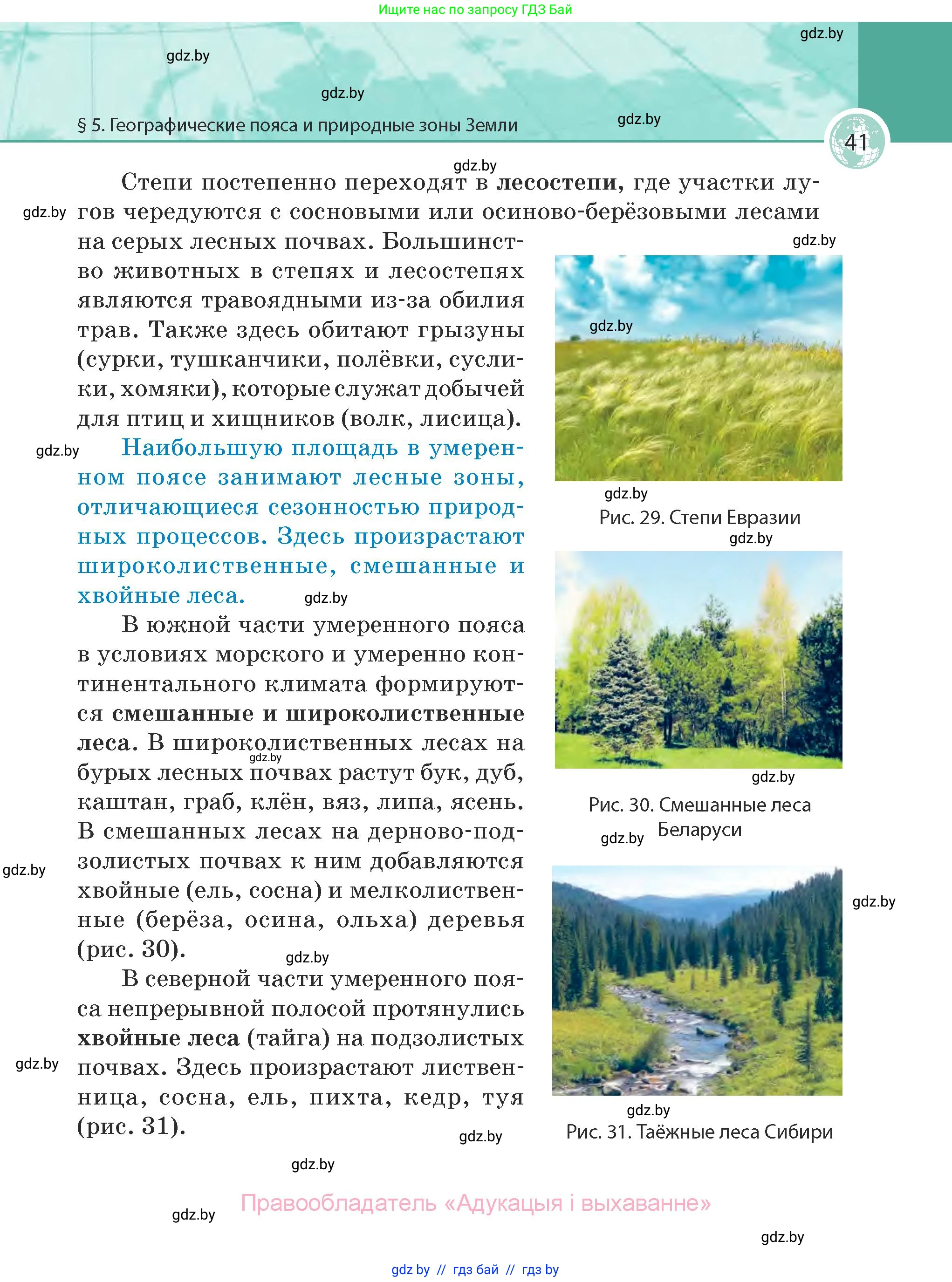 География, 7 класс Учебник, авторы: Кольмакова Елена Генадьевна, Лопух Пётр Степанович, Сарычева Ольга Владимировна, издательство Адукацыя i выхаванне, Минск, 2023, страница 41