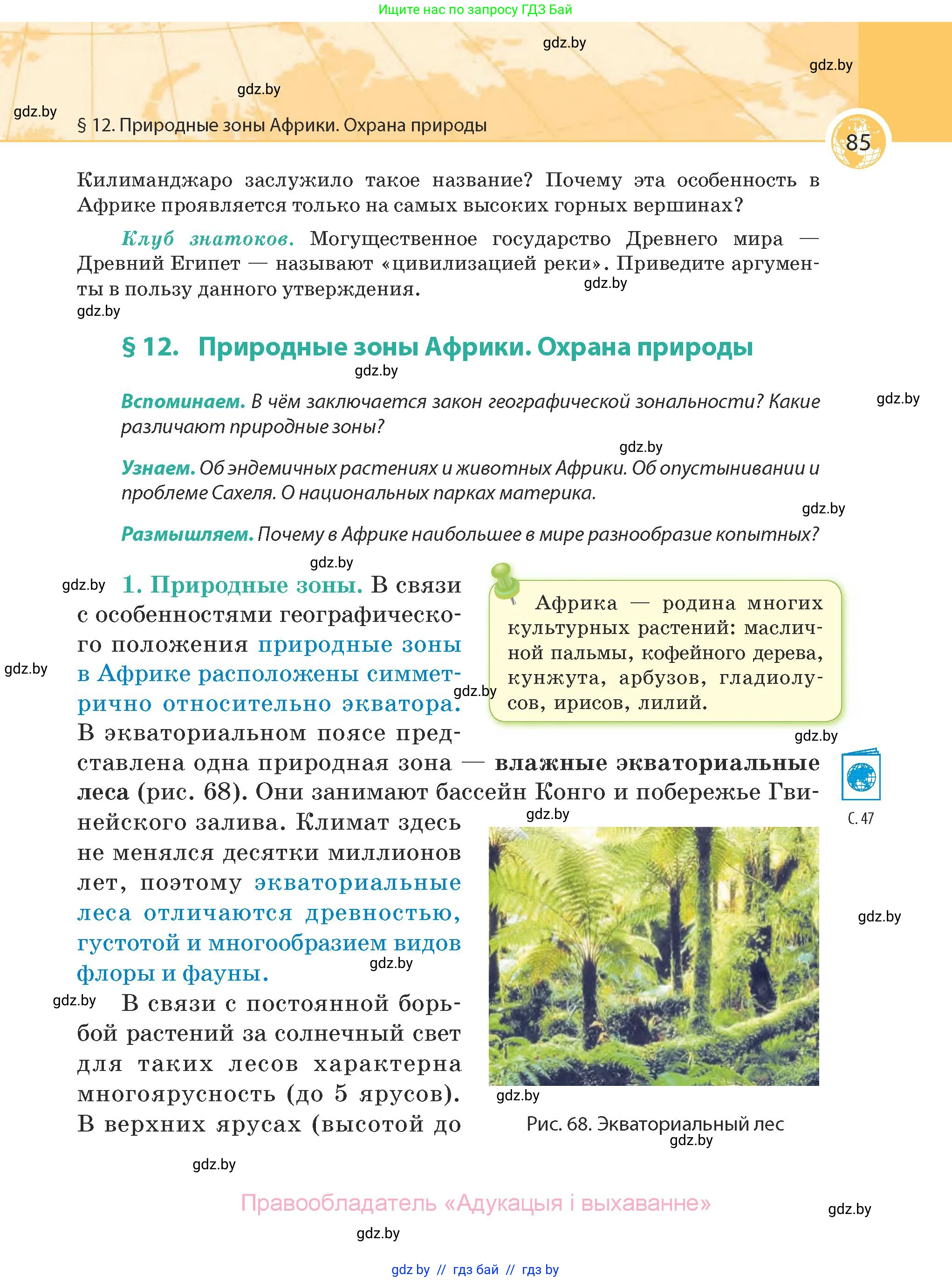 География, 7 класс Учебник, авторы: Кольмакова Елена Генадьевна, Лопух Пётр Степанович, Сарычева Ольга Владимировна, издательство Адукацыя i выхаванне, Минск, 2023, страница 85