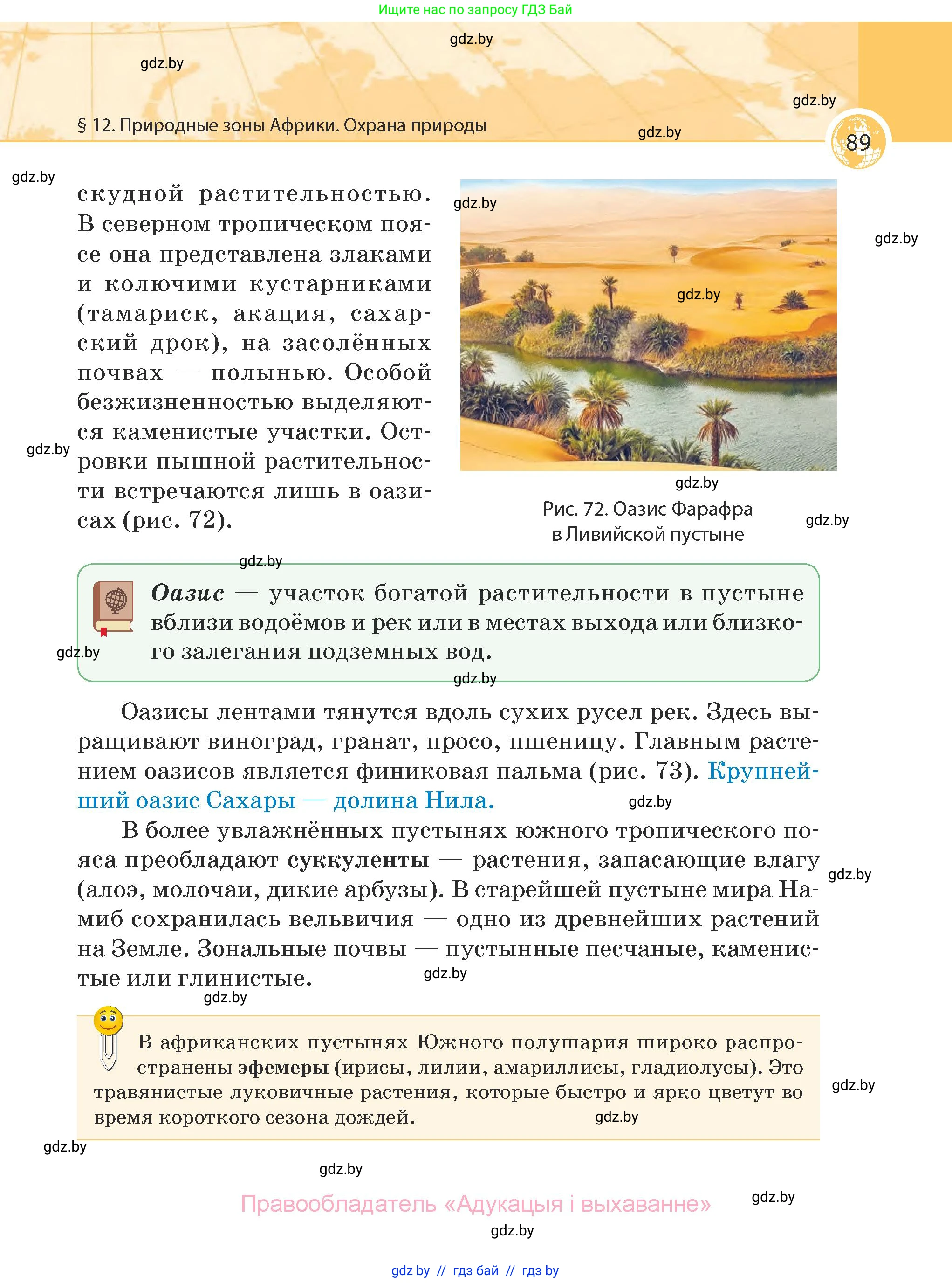 География, 7 класс Учебник, авторы: Кольмакова Елена Генадьевна, Лопух Пётр Степанович, Сарычева Ольга Владимировна, издательство Адукацыя i выхаванне, Минск, 2023, страница 89