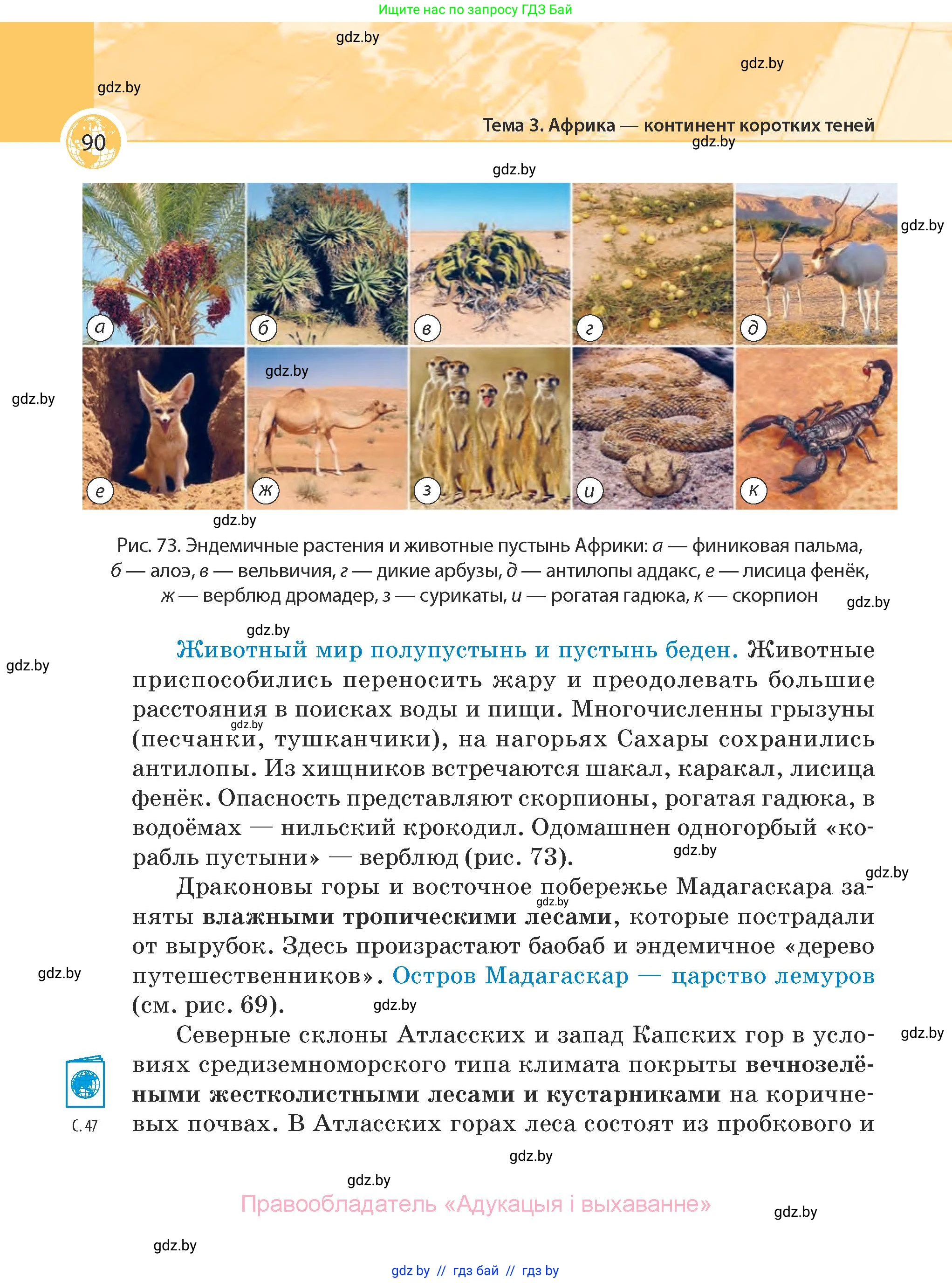 География, 7 класс Учебник, авторы: Кольмакова Елена Генадьевна, Лопух Пётр Степанович, Сарычева Ольга Владимировна, издательство Адукацыя i выхаванне, Минск, 2023, страница 90