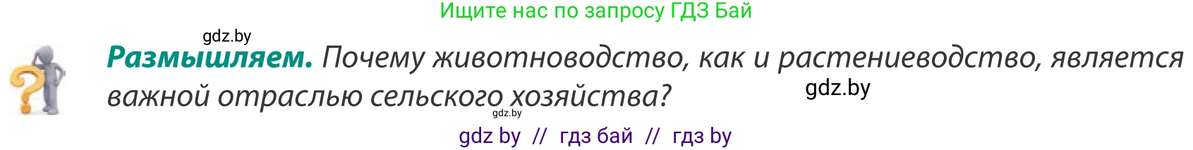 География, 8 класс Учебник, авторы: Лопух Пётр Степанович, Стреха Николай Леонидович, Сарычева Ольга Владимировна, Шандроха Андрей Генадьевич, издательство Адукацыя i выхаванне, Минск, 2019, страница 82, Условие