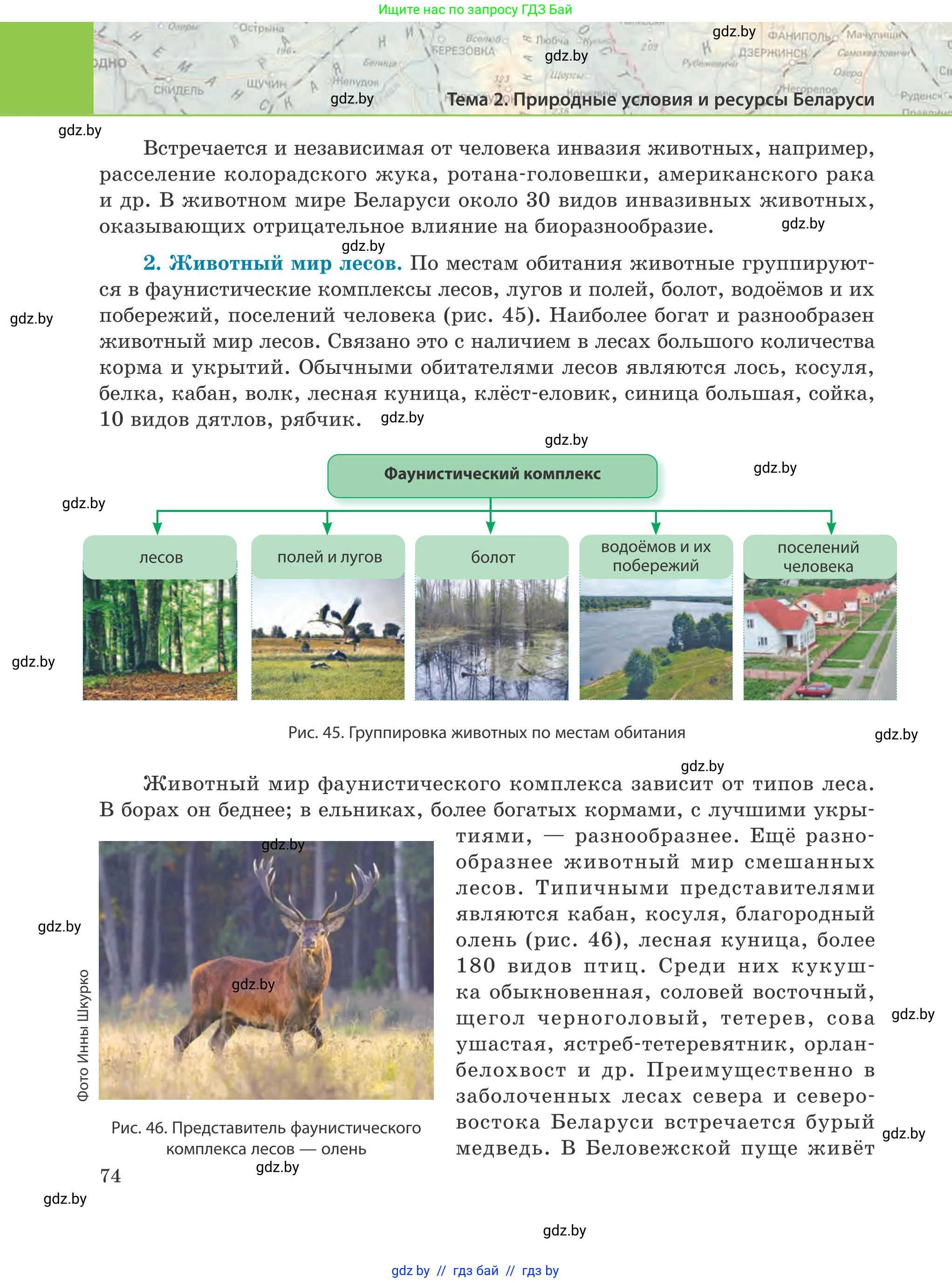География, 9 класс Учебник, авторы: Брилевский Михаил Николаевич, Климович Алеся Владимировна, издательство Адукацыя i выхаванне, Минск, 2025, страница 74