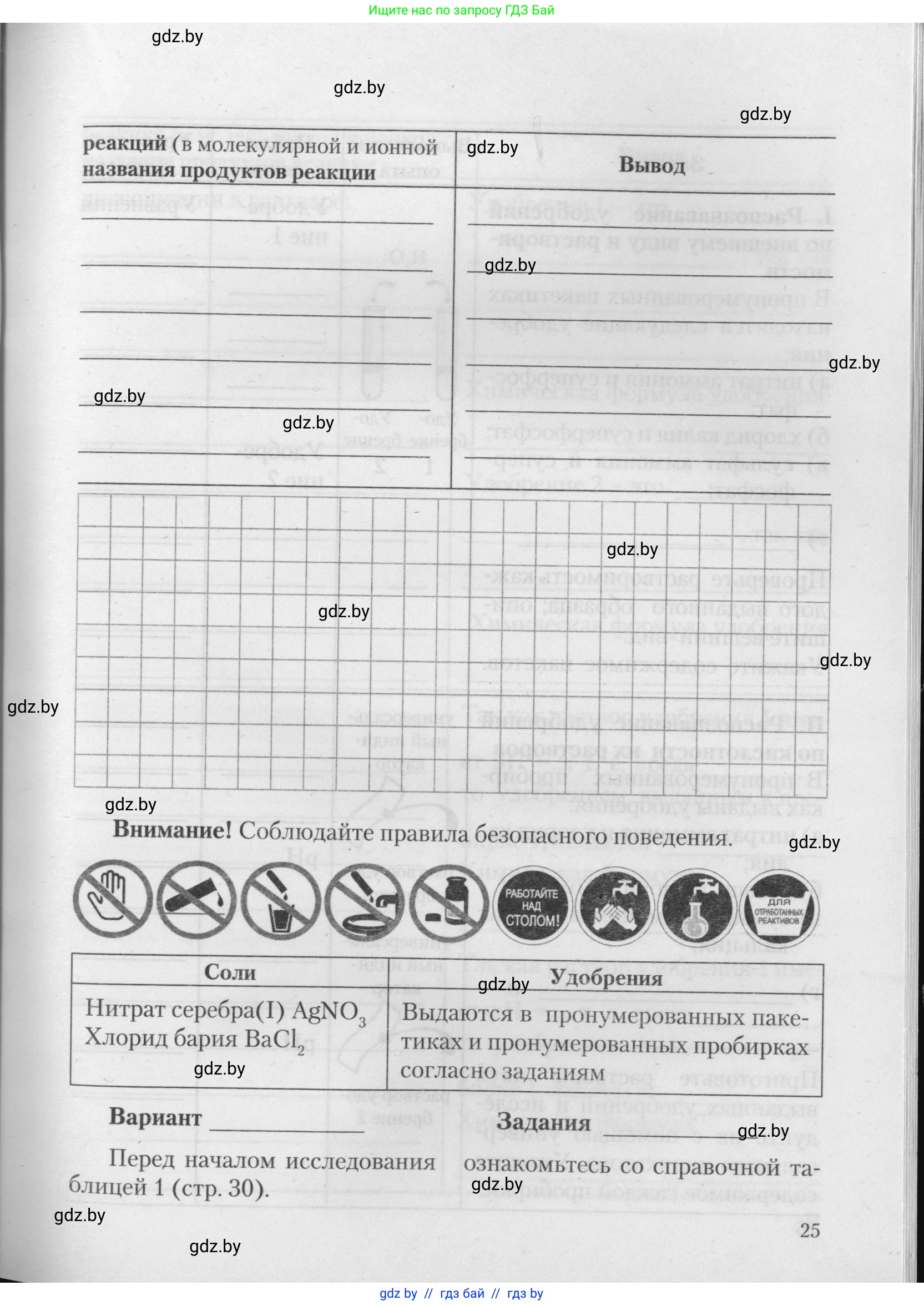 Химия, 11 класс Тетрадь для практических работ, автор: Борушко Ирина Ивановна, издательство Сэр-Вит, Минск, 2021, розового цвета, страница 25