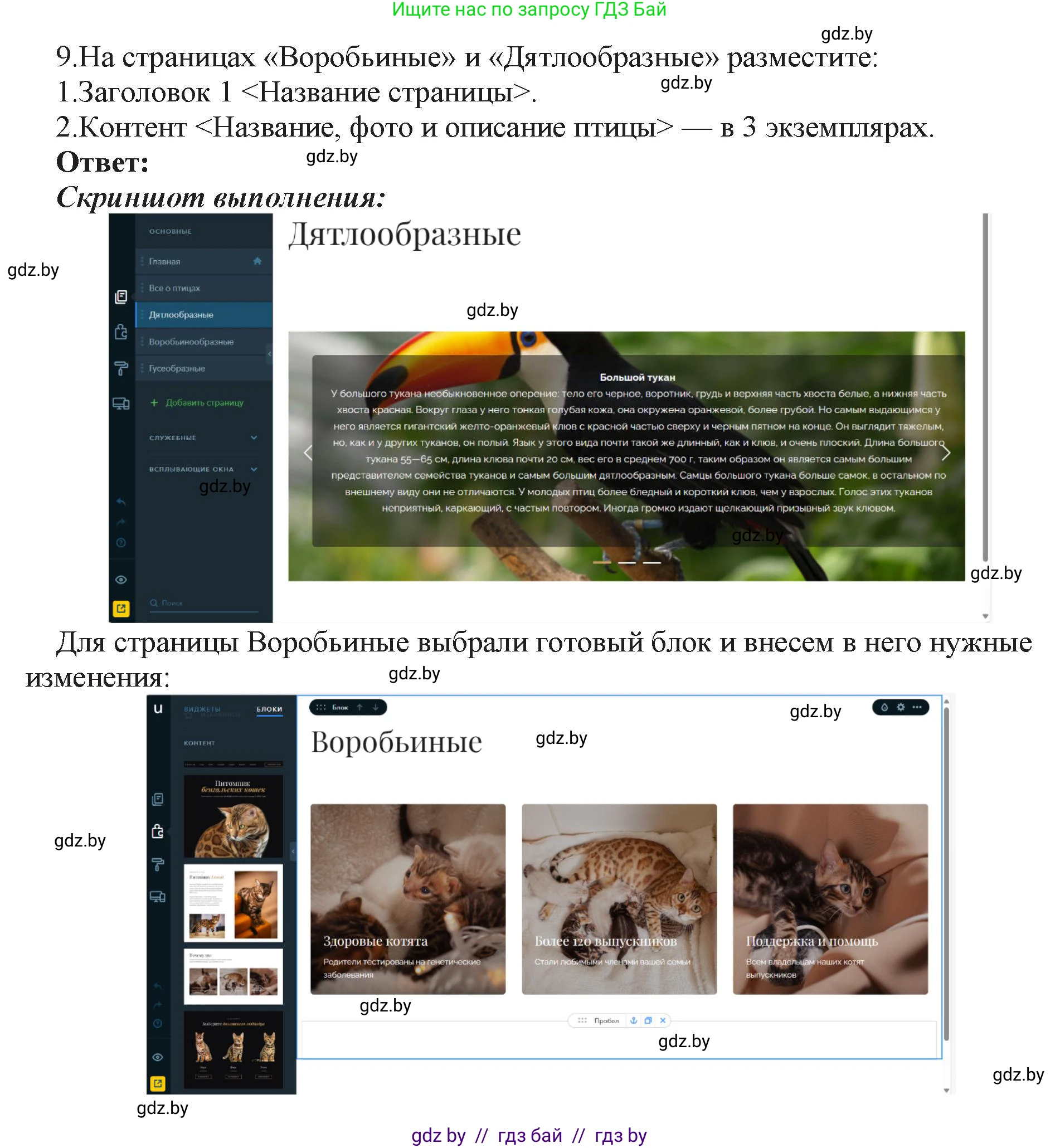 Информатика, 11 класс Учебник, авторы: Котов Владимир Михайлович, Лапо Анжелика Ивановна, Быкадоров Юрий Александрович, Войтехович Елена Николаевна, издательство Народная асвета, Минск, 2021, бирюзового цвета, страница 75, номер 9, Решение