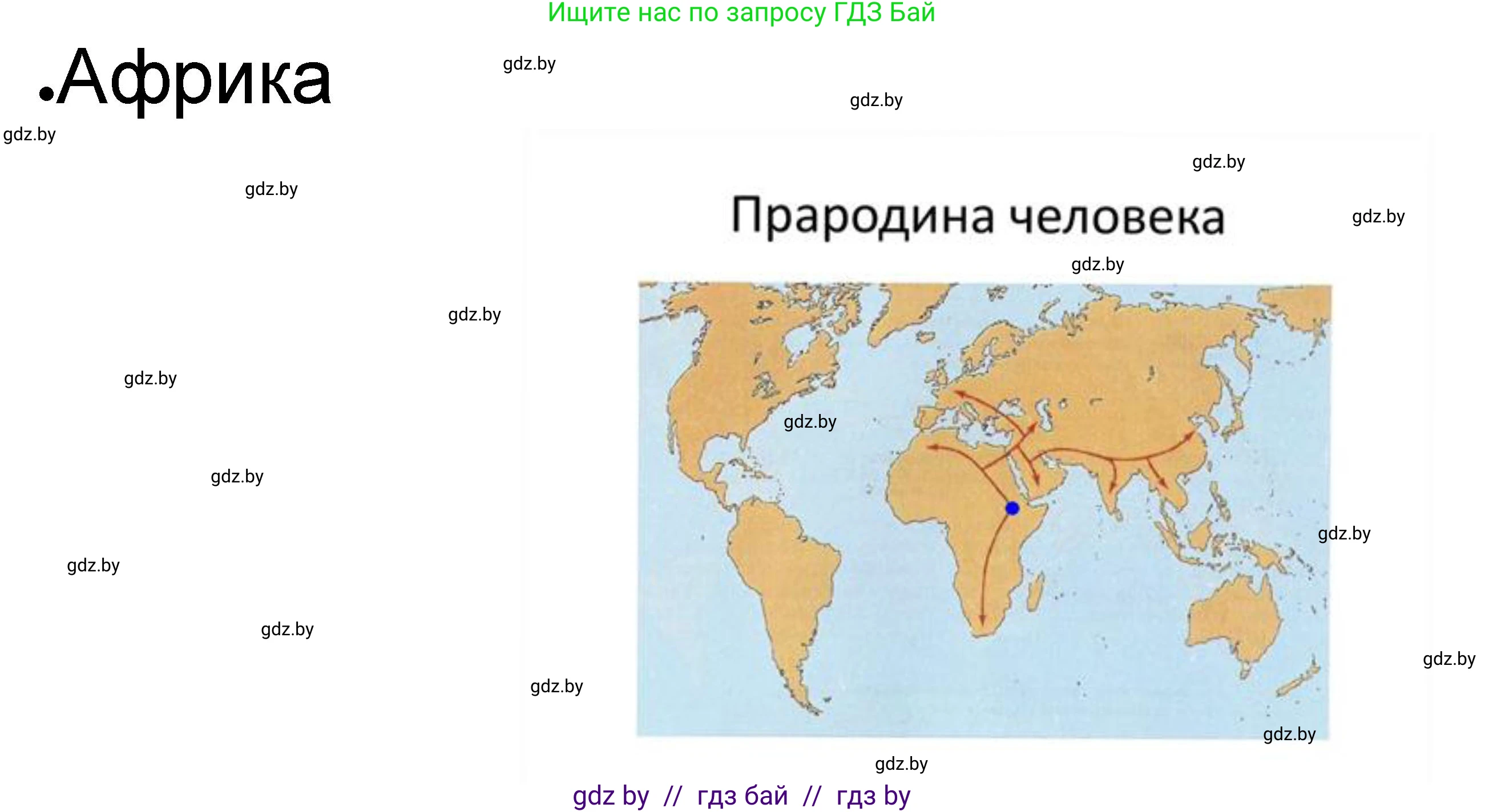История Древнего мира, 5 класс рабочая тетрадь, авторы: Кошелев Владимир Сергеевич, Байдакова Наталья Васильевна, издательство Аверсэв, Минск, 2023, бежевого цвета, Часть 1, страница 12, номер 4, Решение