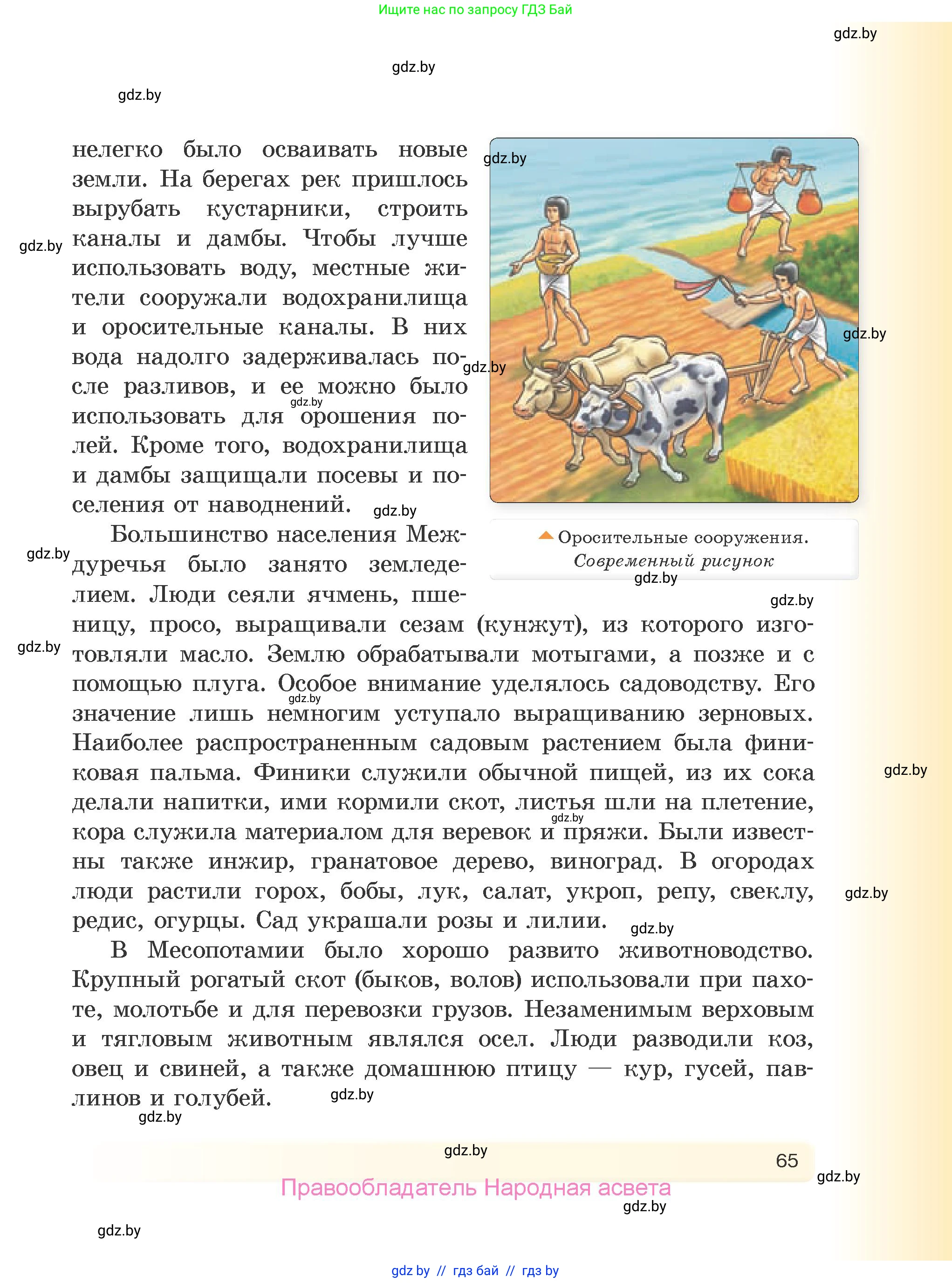 История Древнего мира, 5 класс Учебник, авторы: Кошелев Владимир Сергеевич, Прохоров Андрей Аркадьевич, Перзашкевич Олег Валерьевич, Журавлевич Ольга Георгиевна, издательство Народная асвета, Минск, 2019, коричневого цвета, страница 65