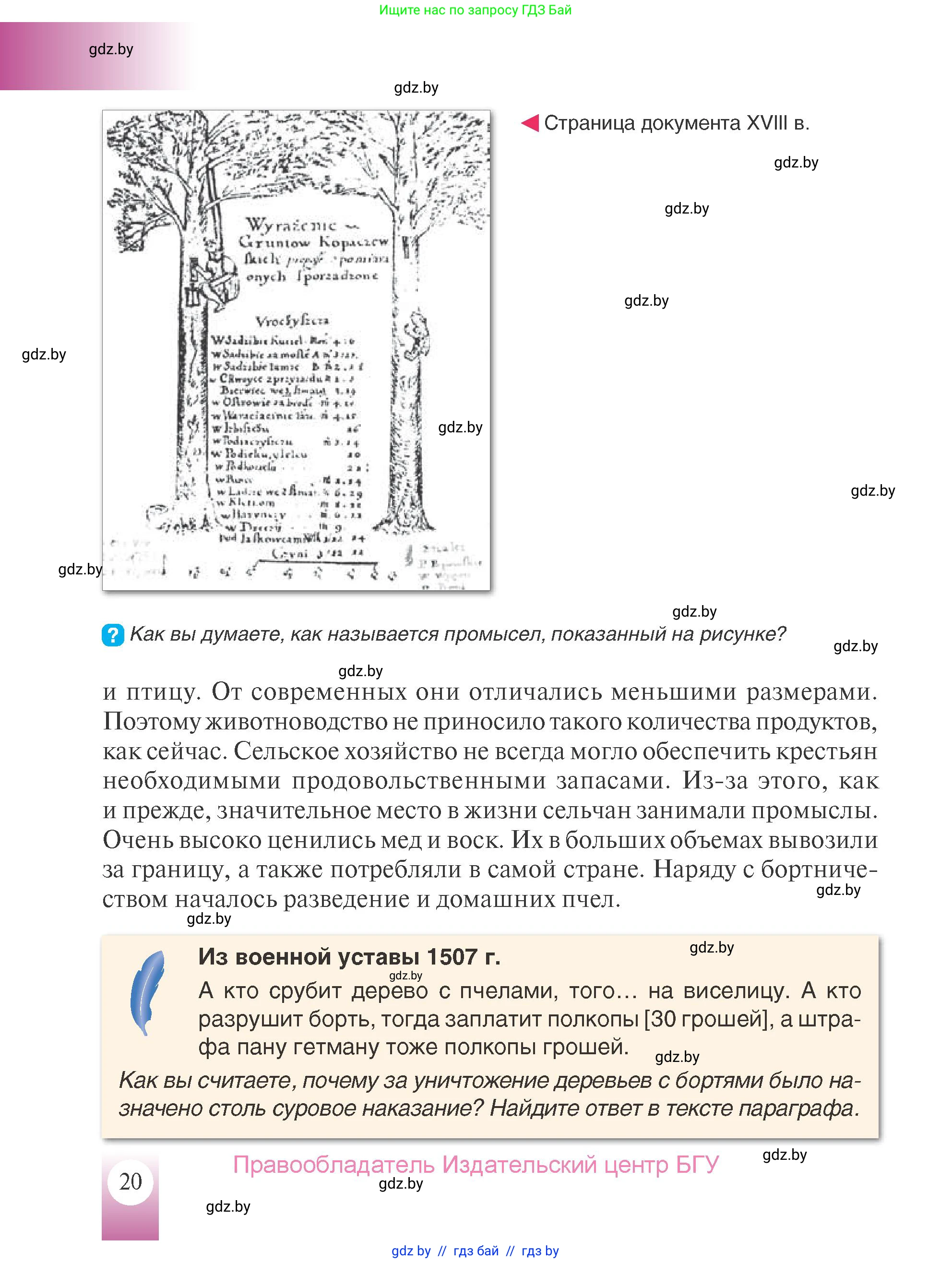 История Беларуси (Гісторыя Беларусі), 7 класс Учебник, авторы: Воронин Василий Алексеевич, Скепьян Анастасия Анатольевна, Мацук Андрей Владимирович, Кравченко Ольга Викторовна, издательство Издательский центр БГУ, Минск, 2017, страница 20