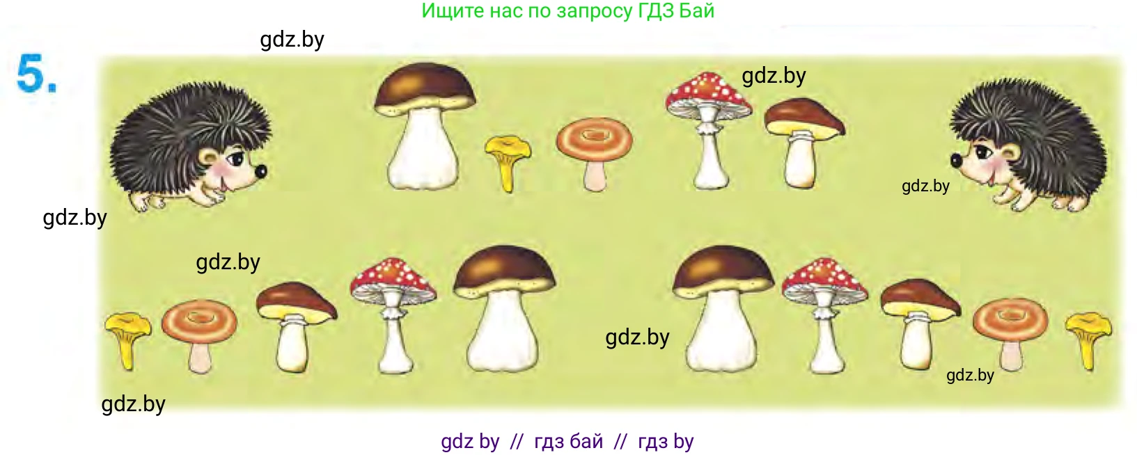 Математика, 1 класс Учебник, авторы: Муравьева Галина Леонидовна, Урбан Мария Анатольевна, издательство Академия образования, Минск, 2024, Часть 1, страница 7, номер 5, Условие