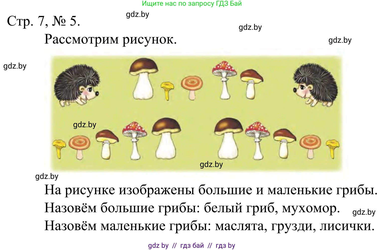 Математика, 1 класс Учебник, авторы: Муравьева Галина Леонидовна, Урбан Мария Анатольевна, издательство Академия образования, Минск, 2024, Часть 1, страница 7, номер 5, Решение