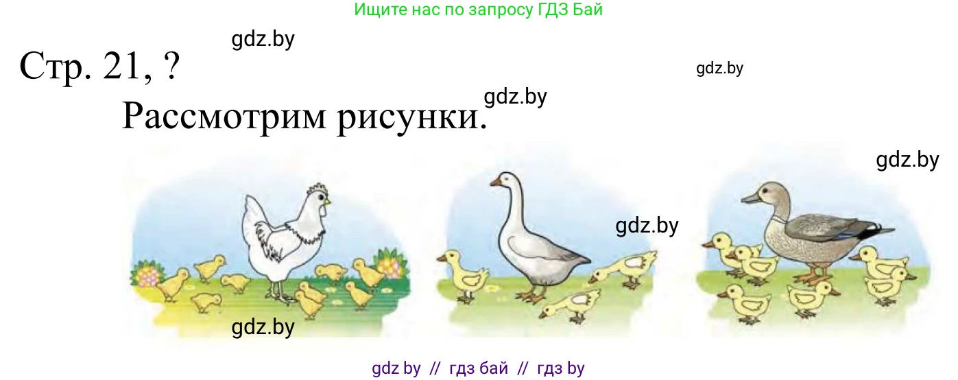 Математика, 1 класс Учебник, авторы: Муравьева Галина Леонидовна, Урбан Мария Анатольевна, издательство Академия образования, Минск, 2024, Часть 1, страница 21, Решение