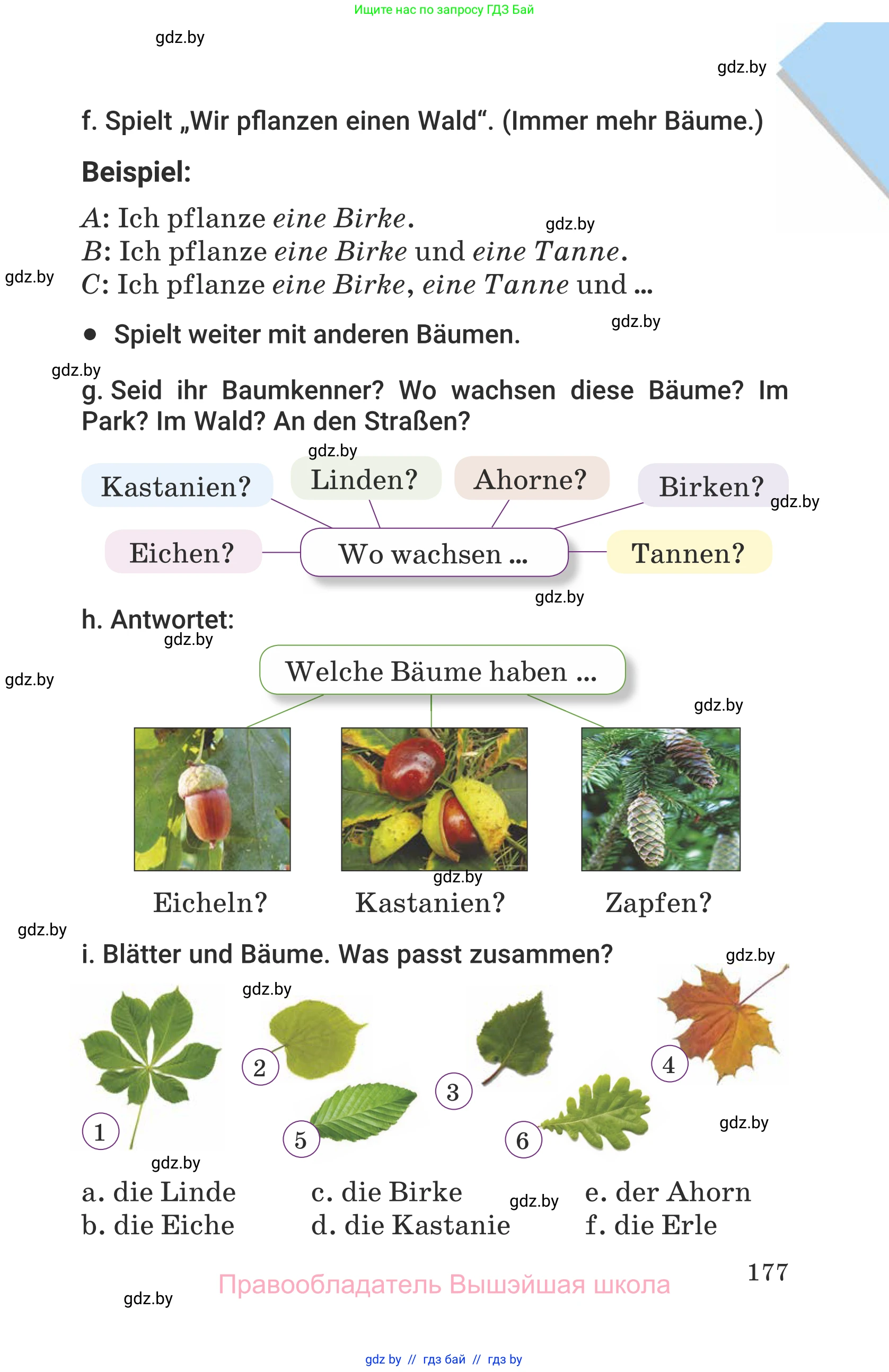 Немецкий язык (Deutsch), 6 класс Учебник (Schülerbuch), авторы: Будько Антонина Филипповна (Budjko Antonina), Урбанович Инна Ювинальевна (Urbanowitsch Ina), издательство Вышэйшая школа, Минск, 2020, бежевого цвета, страница 177