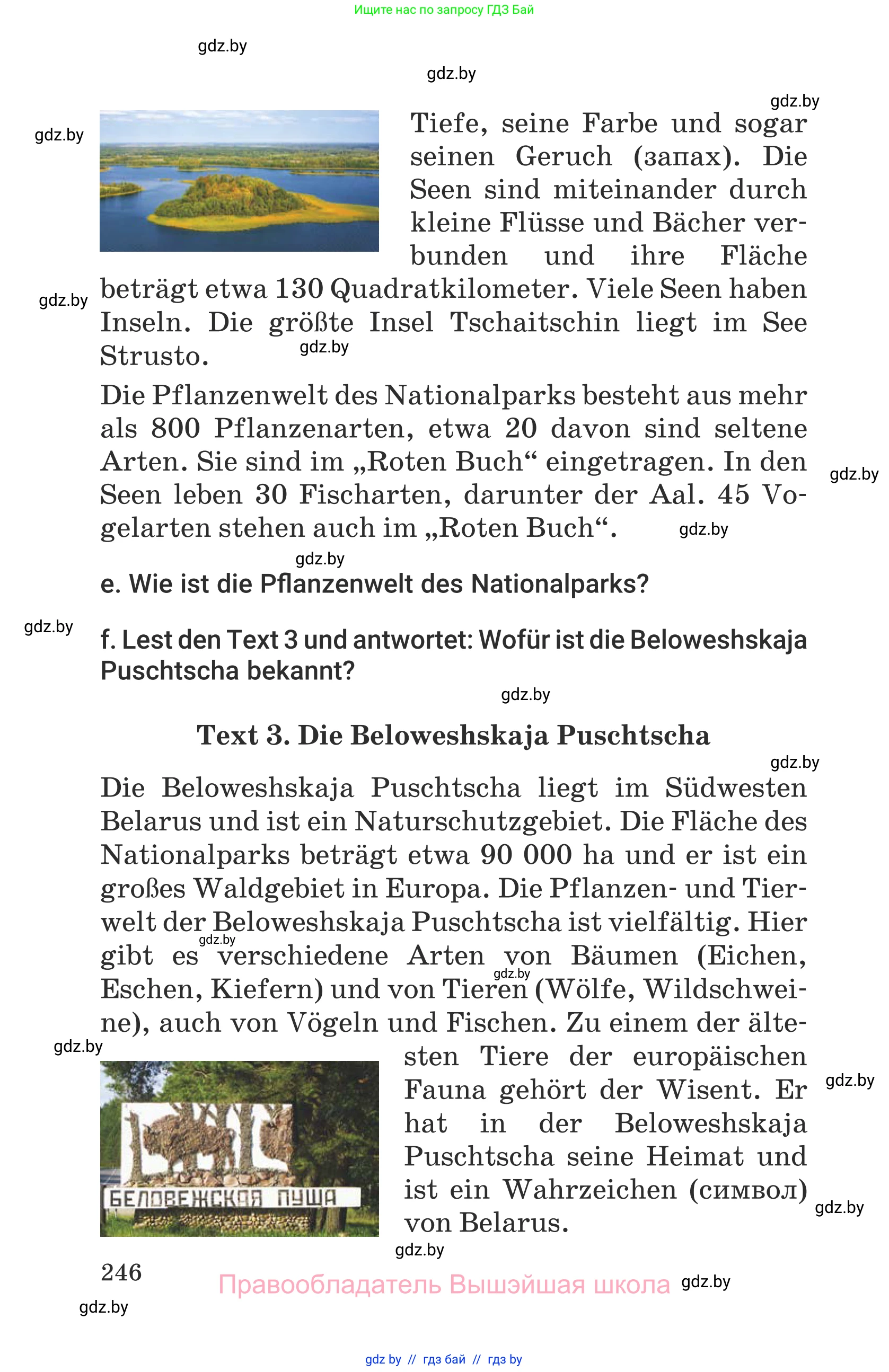 Немецкий язык (Deutsch), 6 класс Учебник (Schülerbuch), авторы: Будько Антонина Филипповна (Budjko Antonina), Урбанович Инна Ювинальевна (Urbanowitsch Ina), издательство Вышэйшая школа, Минск, 2020, бежевого цвета, страница 246