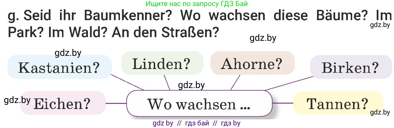 Немецкий язык (Deutsch), 6 класс Учебник (Schülerbuch), авторы: Будько Антонина Филипповна (Budjko Antonina), Урбанович Инна Ювинальевна (Urbanowitsch Ina), издательство Вышэйшая школа, Минск, 2020, бежевого цвета, страница 177, номер g, Условие