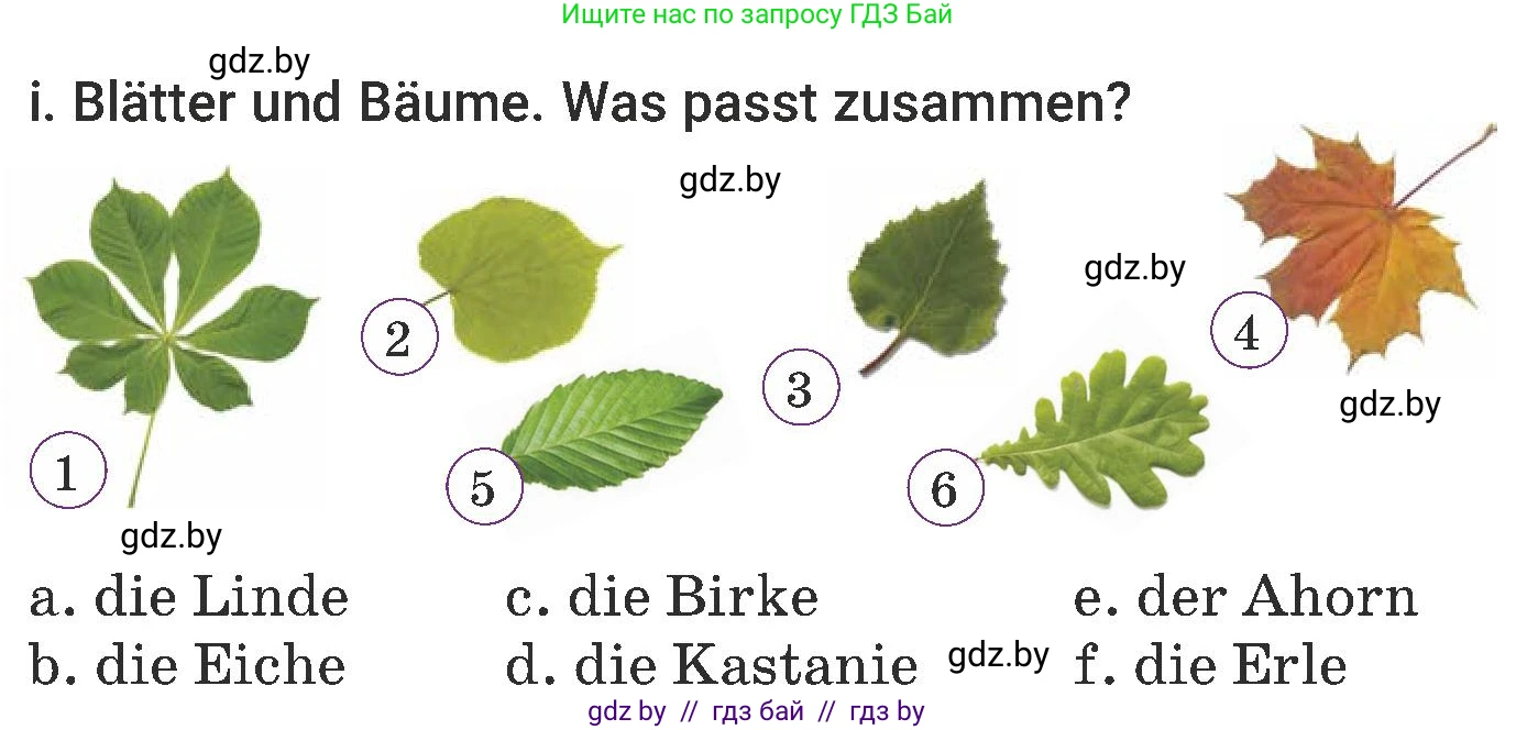Немецкий язык (Deutsch), 6 класс Учебник (Schülerbuch), авторы: Будько Антонина Филипповна (Budjko Antonina), Урбанович Инна Ювинальевна (Urbanowitsch Ina), издательство Вышэйшая школа, Минск, 2020, бежевого цвета, страница 177, номер i, Условие