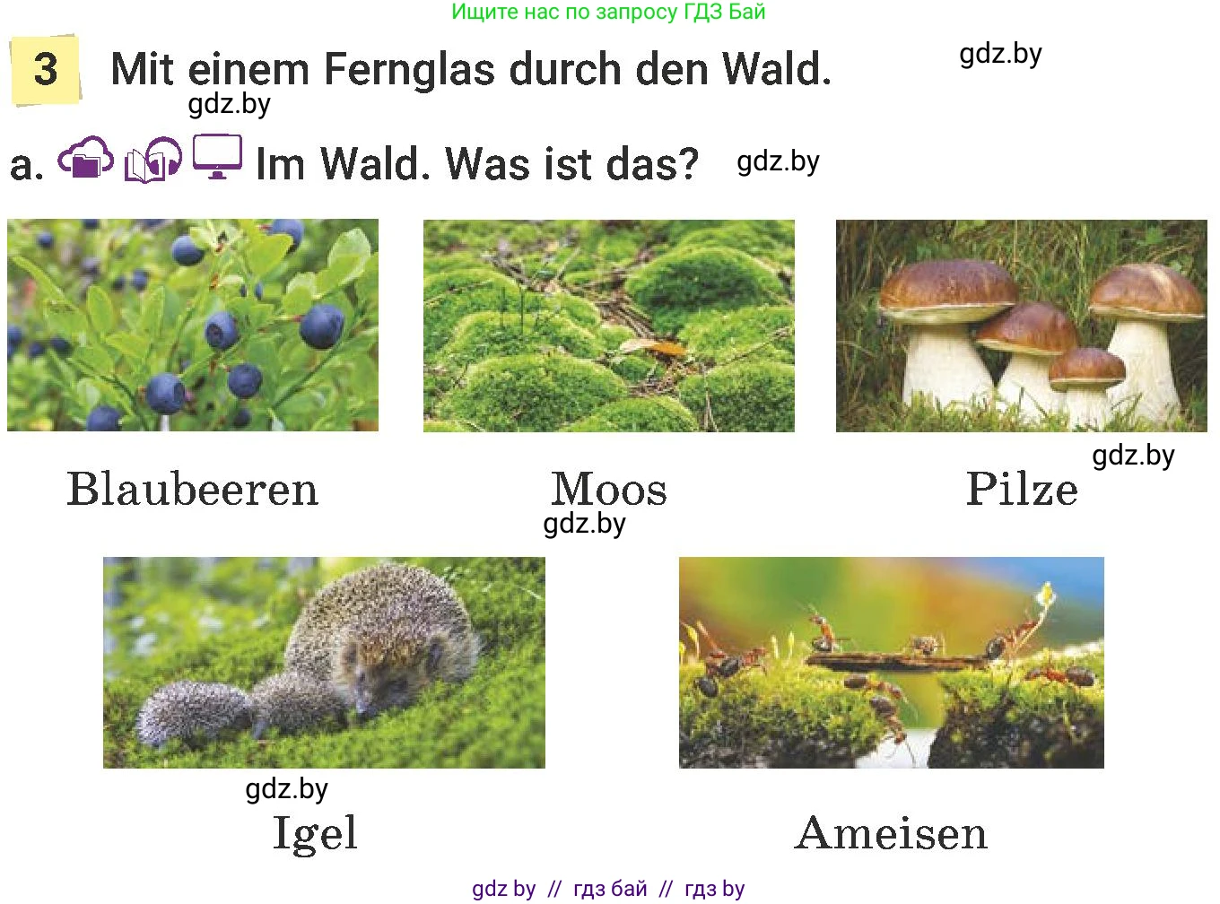 Немецкий язык (Deutsch), 6 класс Учебник (Schülerbuch), авторы: Будько Антонина Филипповна (Budjko Antonina), Урбанович Инна Ювинальевна (Urbanowitsch Ina), издательство Вышэйшая школа, Минск, 2020, бежевого цвета, страница 179, номер a, Условие
