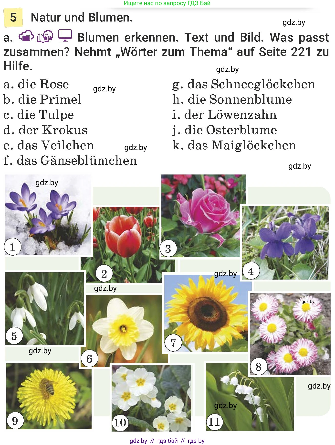 Немецкий язык (Deutsch), 6 класс Учебник (Schülerbuch), авторы: Будько Антонина Филипповна (Budjko Antonina), Урбанович Инна Ювинальевна (Urbanowitsch Ina), издательство Вышэйшая школа, Минск, 2020, бежевого цвета, страница 182, номер a, Условие