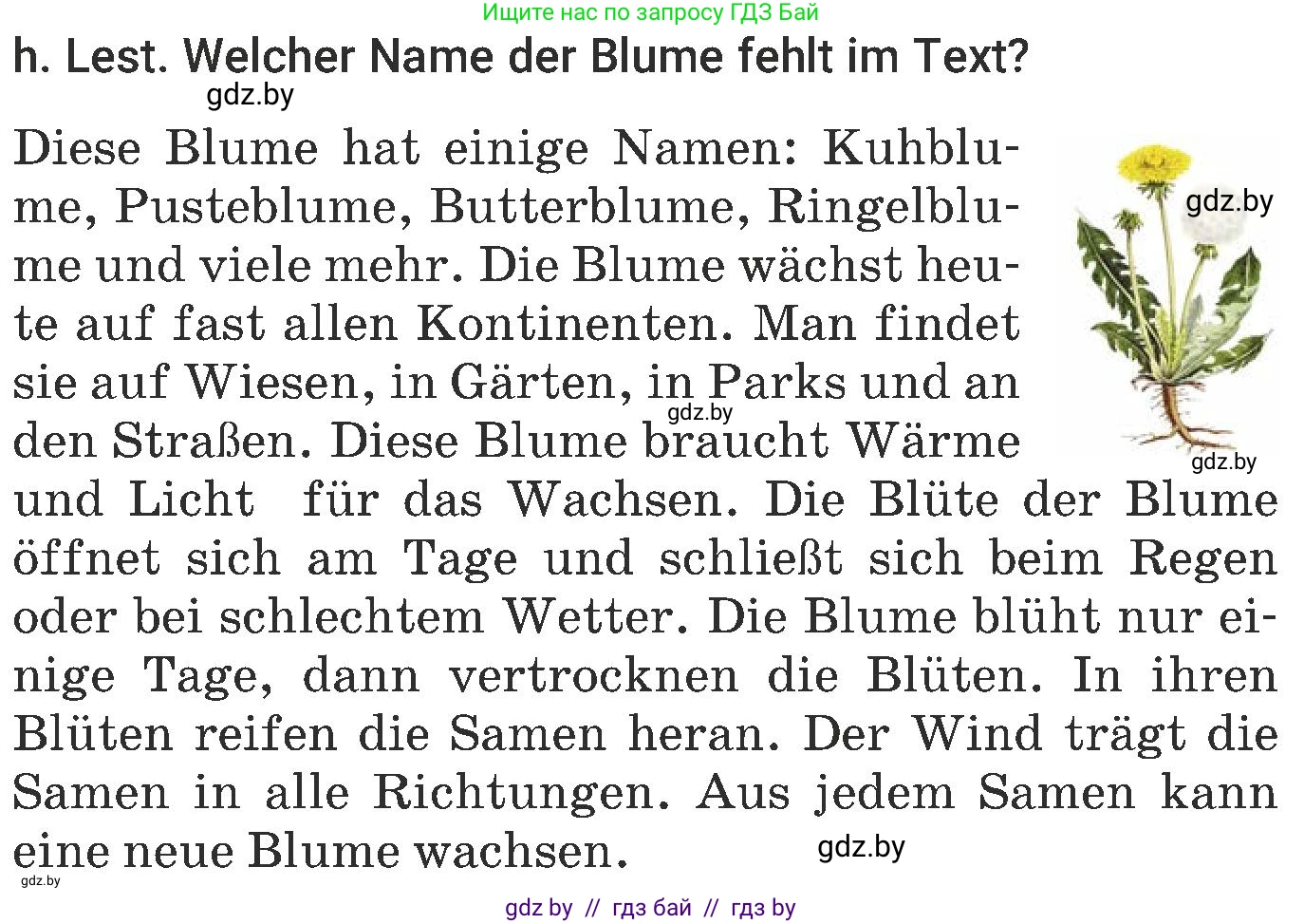 Немецкий язык (Deutsch), 6 класс Учебник (Schülerbuch), авторы: Будько Антонина Филипповна (Budjko Antonina), Урбанович Инна Ювинальевна (Urbanowitsch Ina), издательство Вышэйшая школа, Минск, 2020, бежевого цвета, страница 184, номер h, Условие