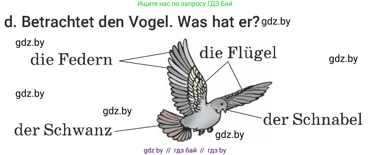 Немецкий язык (Deutsch), 6 класс Учебник (Schülerbuch), авторы: Будько Антонина Филипповна (Budjko Antonina), Урбанович Инна Ювинальевна (Urbanowitsch Ina), издательство Вышэйшая школа, Минск, 2020, бежевого цвета, страница 186, номер d, Условие