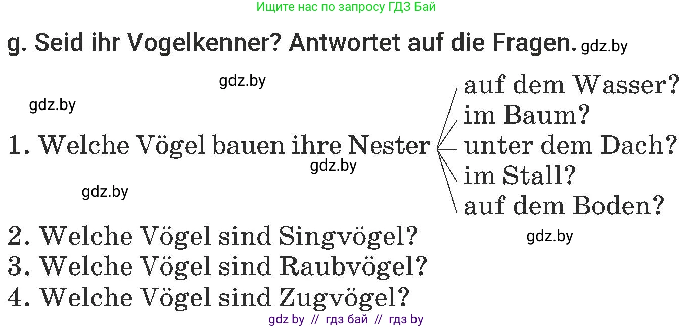 Немецкий язык (Deutsch), 6 класс Учебник (Schülerbuch), авторы: Будько Антонина Филипповна (Budjko Antonina), Урбанович Инна Ювинальевна (Urbanowitsch Ina), издательство Вышэйшая школа, Минск, 2020, бежевого цвета, страница 186, номер g, Условие