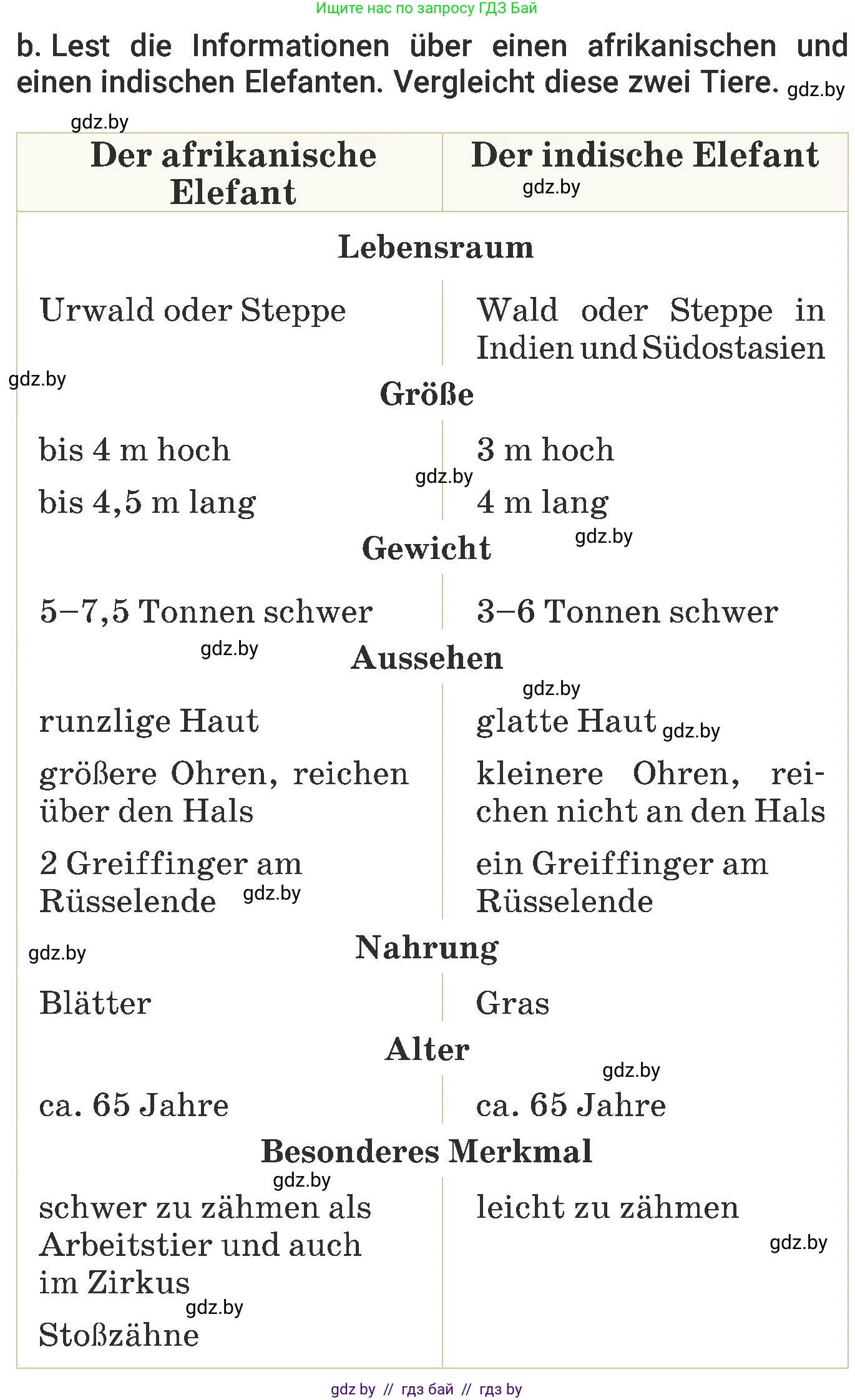 Немецкий язык (Deutsch), 6 класс Учебник (Schülerbuch), авторы: Будько Антонина Филипповна (Budjko Antonina), Урбанович Инна Ювинальевна (Urbanowitsch Ina), издательство Вышэйшая школа, Минск, 2020, бежевого цвета, страница 203, номер b, Условие