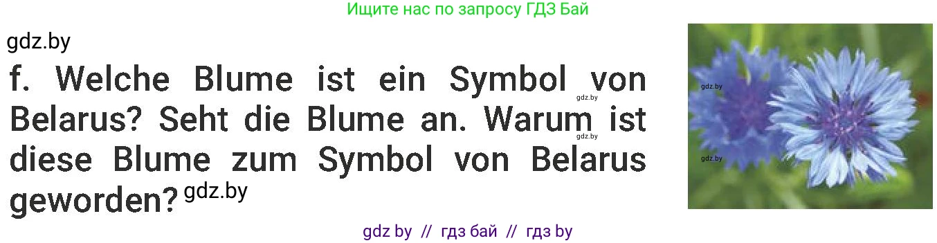 Немецкий язык (Deutsch), 6 класс Учебник (Schülerbuch), авторы: Будько Антонина Филипповна (Budjko Antonina), Урбанович Инна Ювинальевна (Urbanowitsch Ina), издательство Вышэйшая школа, Минск, 2020, бежевого цвета, страница 236, номер f, Условие