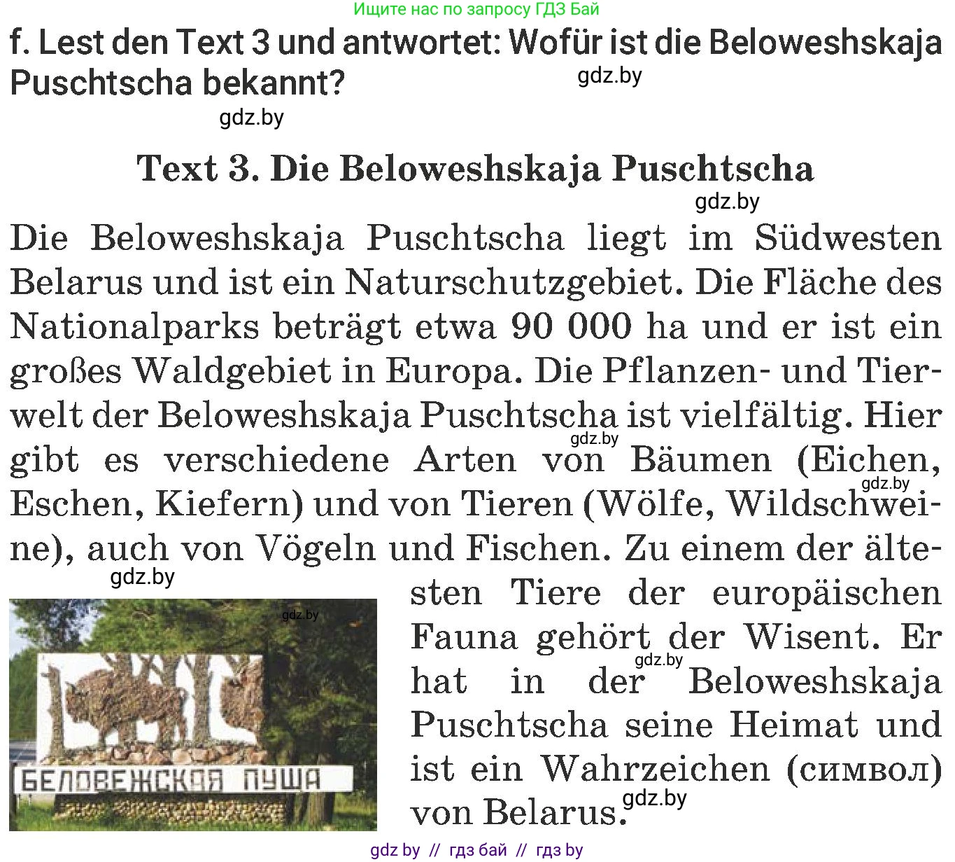 Немецкий язык (Deutsch), 6 класс Учебник (Schülerbuch), авторы: Будько Антонина Филипповна (Budjko Antonina), Урбанович Инна Ювинальевна (Urbanowitsch Ina), издательство Вышэйшая школа, Минск, 2020, бежевого цвета, страница 246, номер f, Условие