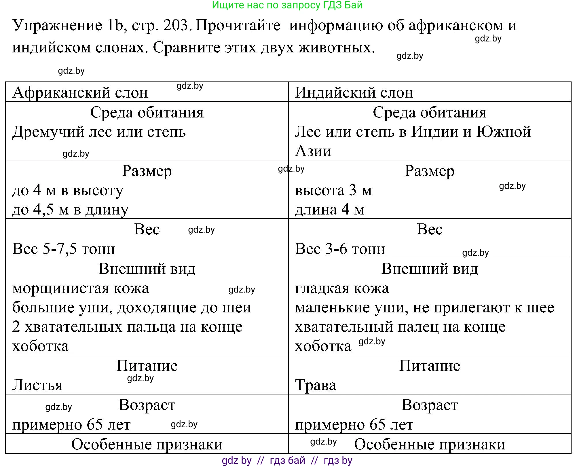 Немецкий язык (Deutsch), 6 класс Учебник (Schülerbuch), авторы: Будько Антонина Филипповна (Budjko Antonina), Урбанович Инна Ювинальевна (Urbanowitsch Ina), издательство Вышэйшая школа, Минск, 2020, бежевого цвета, страница 203, номер b, Решение