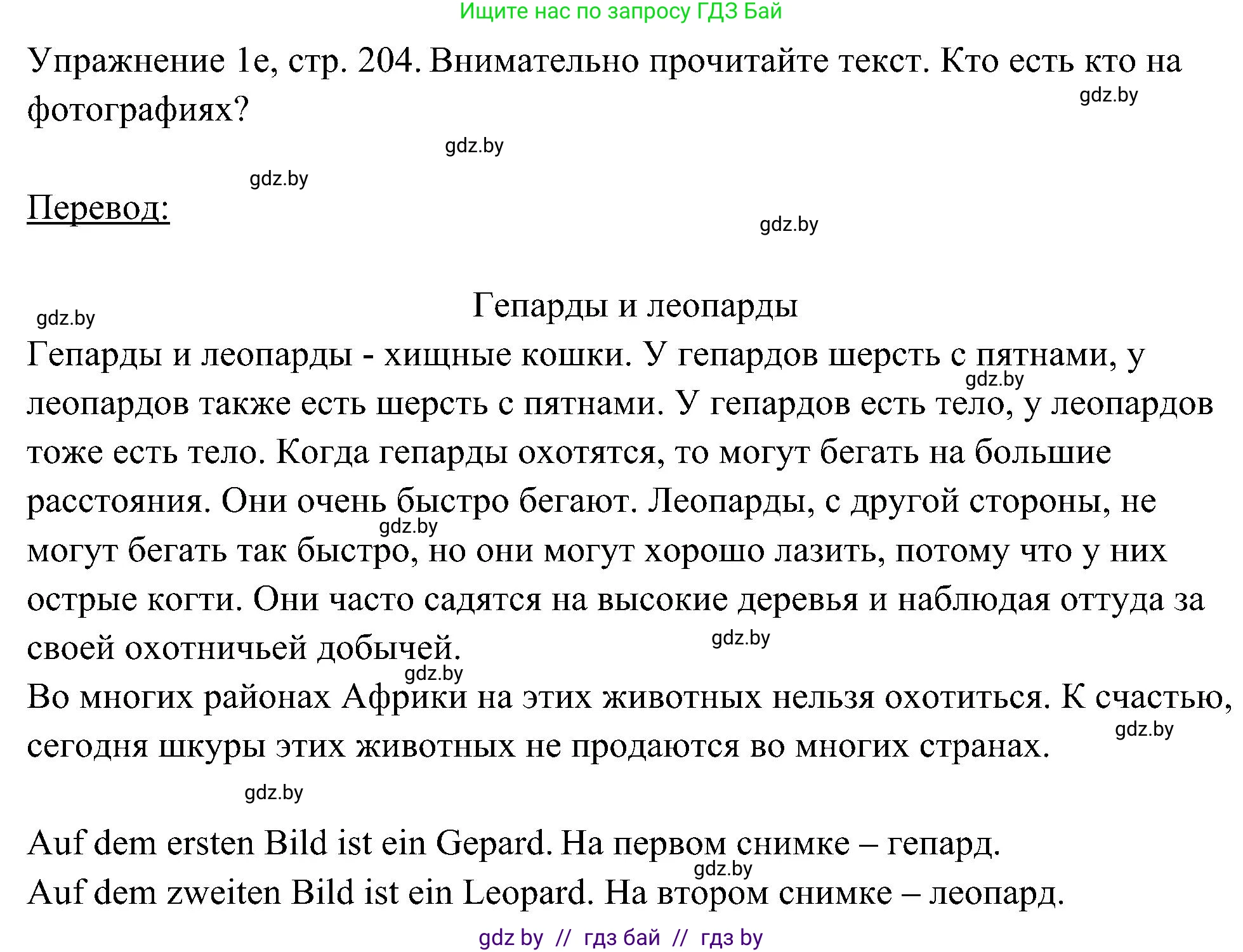 Немецкий язык (Deutsch), 6 класс Учебник (Schülerbuch), авторы: Будько Антонина Филипповна (Budjko Antonina), Урбанович Инна Ювинальевна (Urbanowitsch Ina), издательство Вышэйшая школа, Минск, 2020, бежевого цвета, страница 204, номер e, Решение
