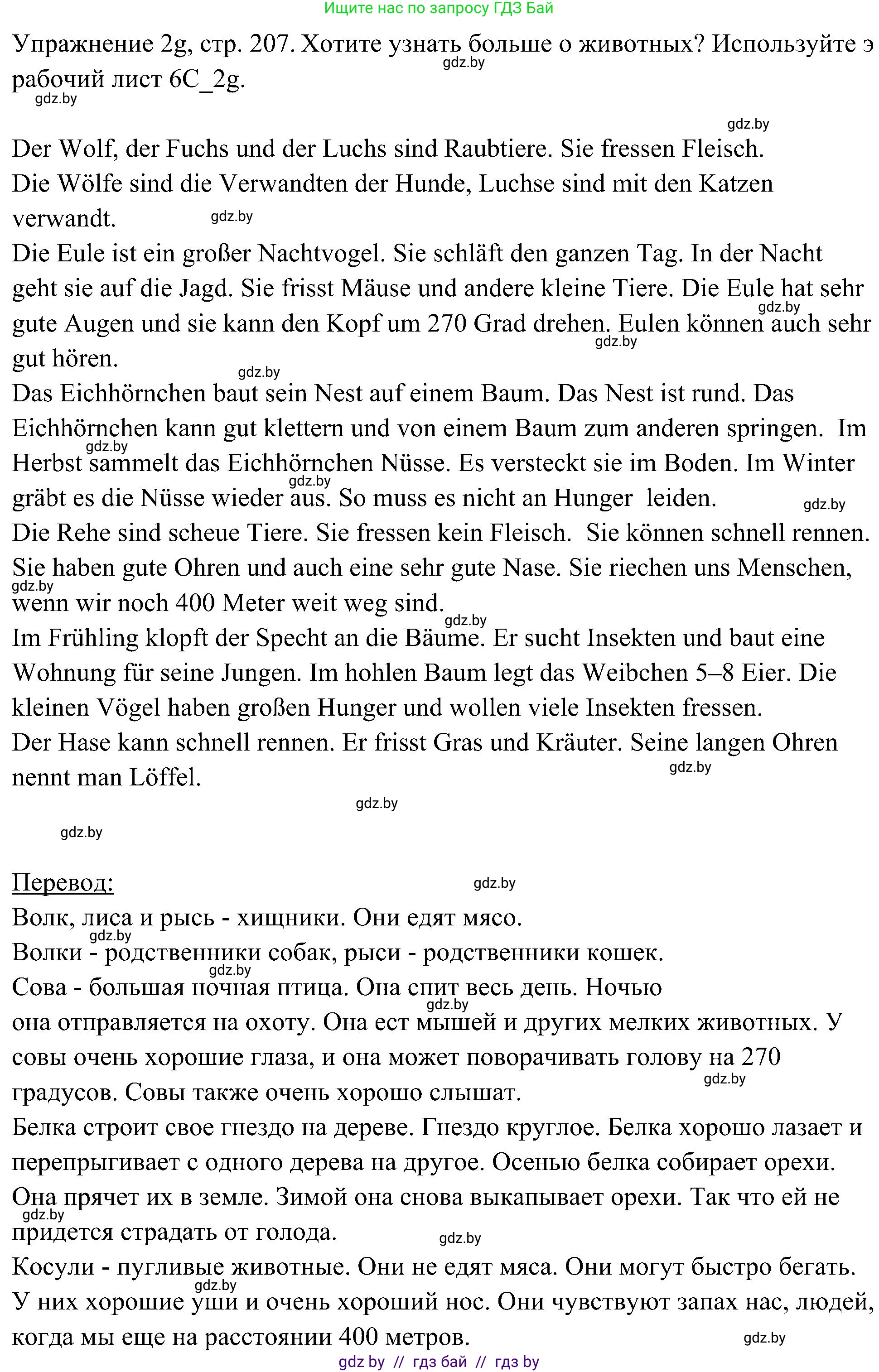 Немецкий язык (Deutsch), 6 класс Учебник (Schülerbuch), авторы: Будько Антонина Филипповна (Budjko Antonina), Урбанович Инна Ювинальевна (Urbanowitsch Ina), издательство Вышэйшая школа, Минск, 2020, бежевого цвета, страница 207, номер g, Решение
