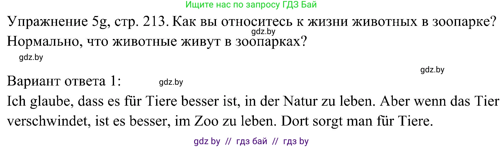 Немецкий язык (Deutsch), 6 класс Учебник (Schülerbuch), авторы: Будько Антонина Филипповна (Budjko Antonina), Урбанович Инна Ювинальевна (Urbanowitsch Ina), издательство Вышэйшая школа, Минск, 2020, бежевого цвета, страница 213, номер g, Решение