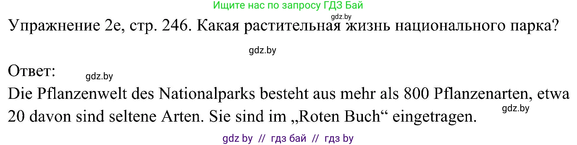 Немецкий язык (Deutsch), 6 класс Учебник (Schülerbuch), авторы: Будько Антонина Филипповна (Budjko Antonina), Урбанович Инна Ювинальевна (Urbanowitsch Ina), издательство Вышэйшая школа, Минск, 2020, бежевого цвета, страница 246, номер e, Решение